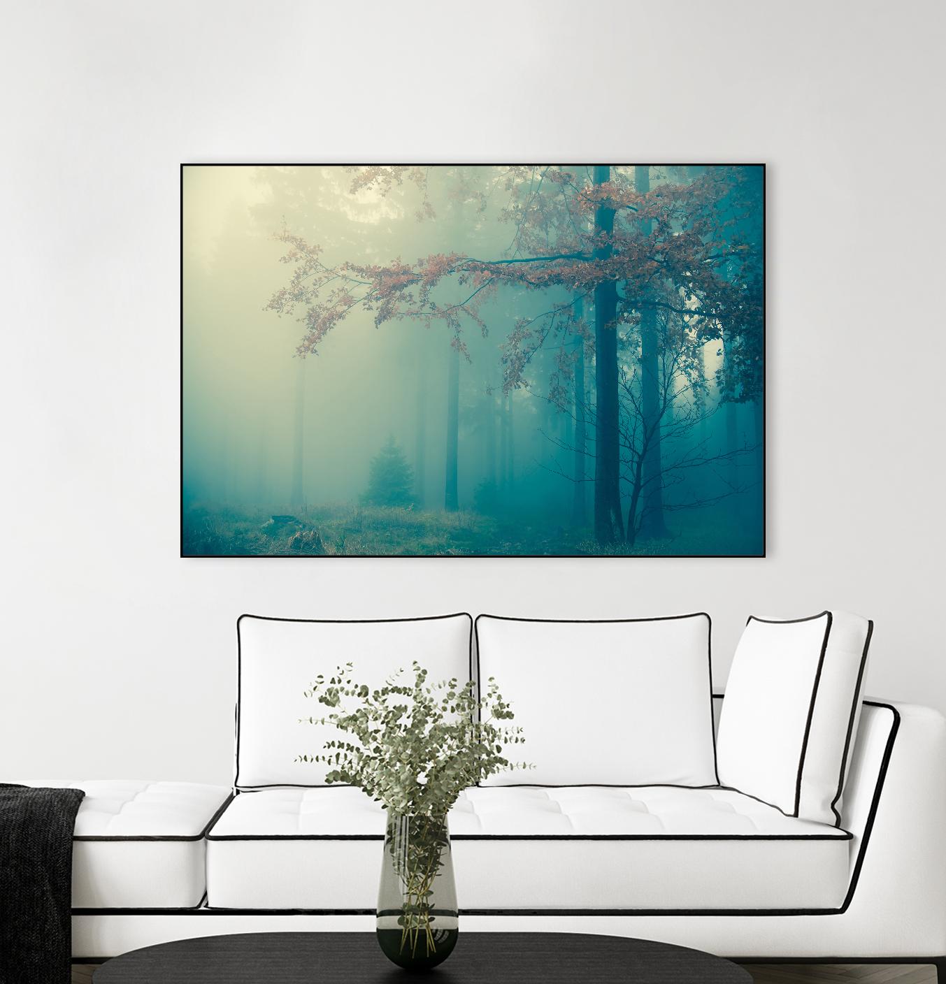 Woods by PhotoINC Studio on GIANT ART - multicolor photography; landscapes