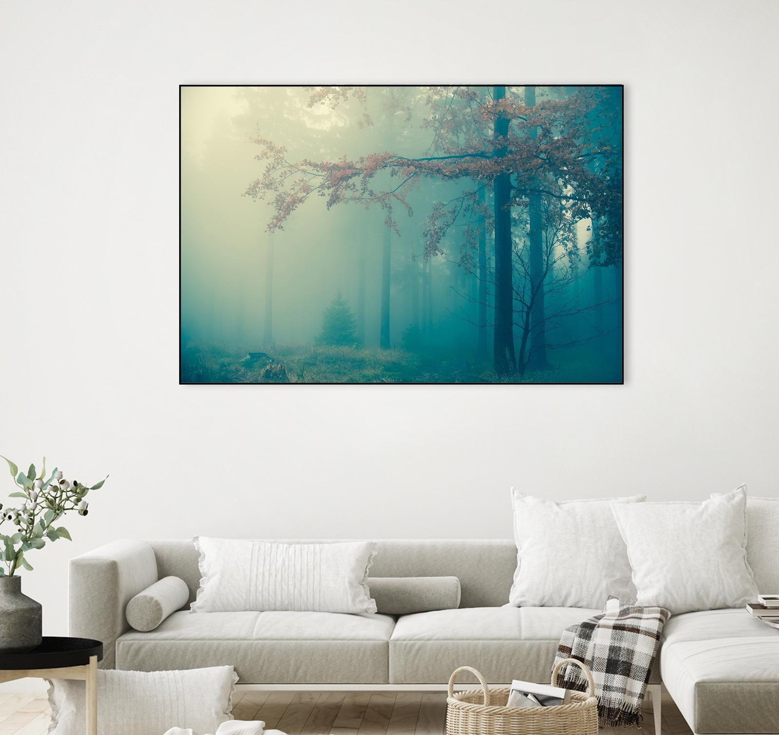 Woods by PhotoINC Studio on GIANT ART - multicolor photography; landscapes