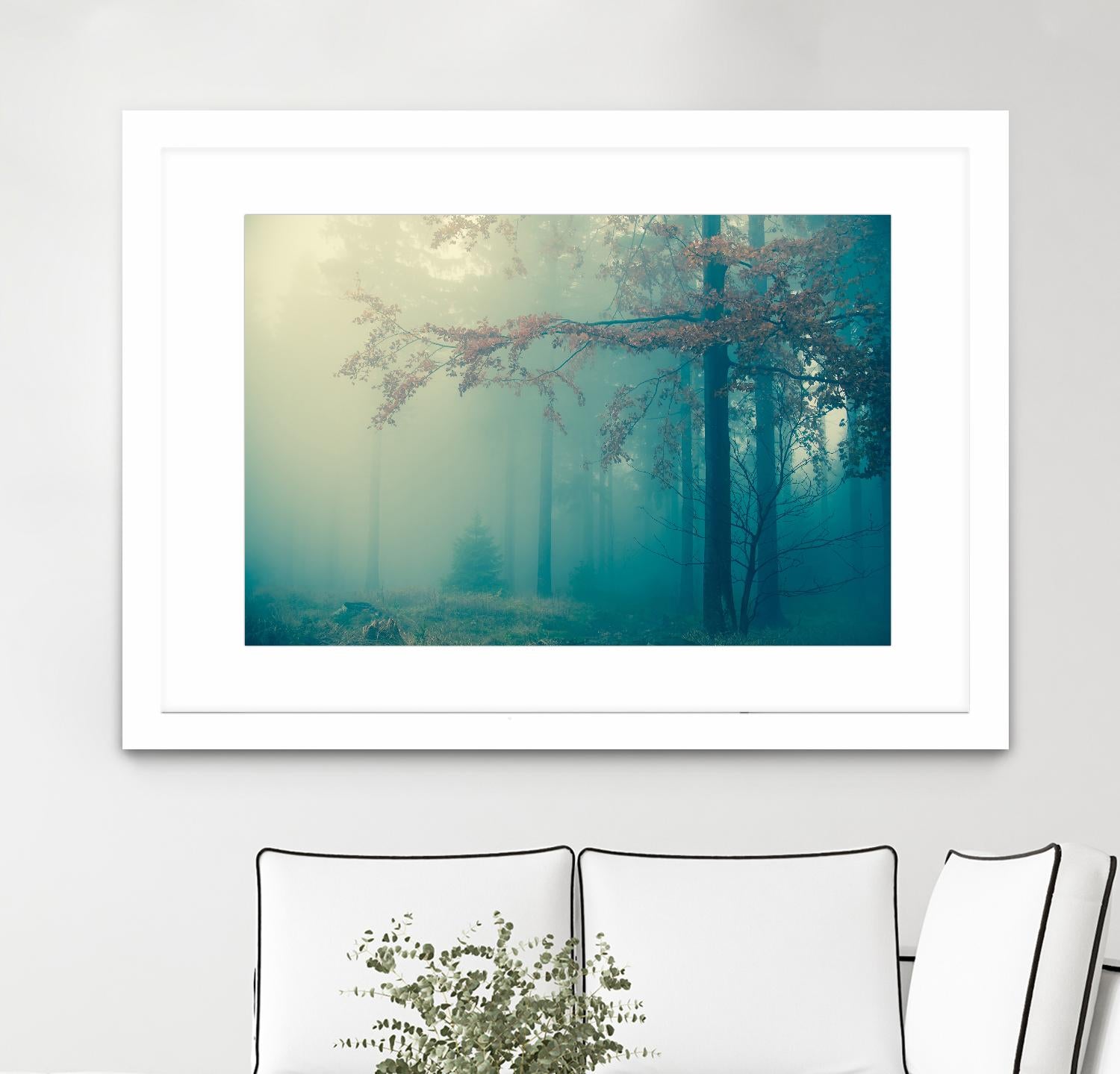 Woods by PhotoINC Studio on GIANT ART - multicolor photography; landscapes
