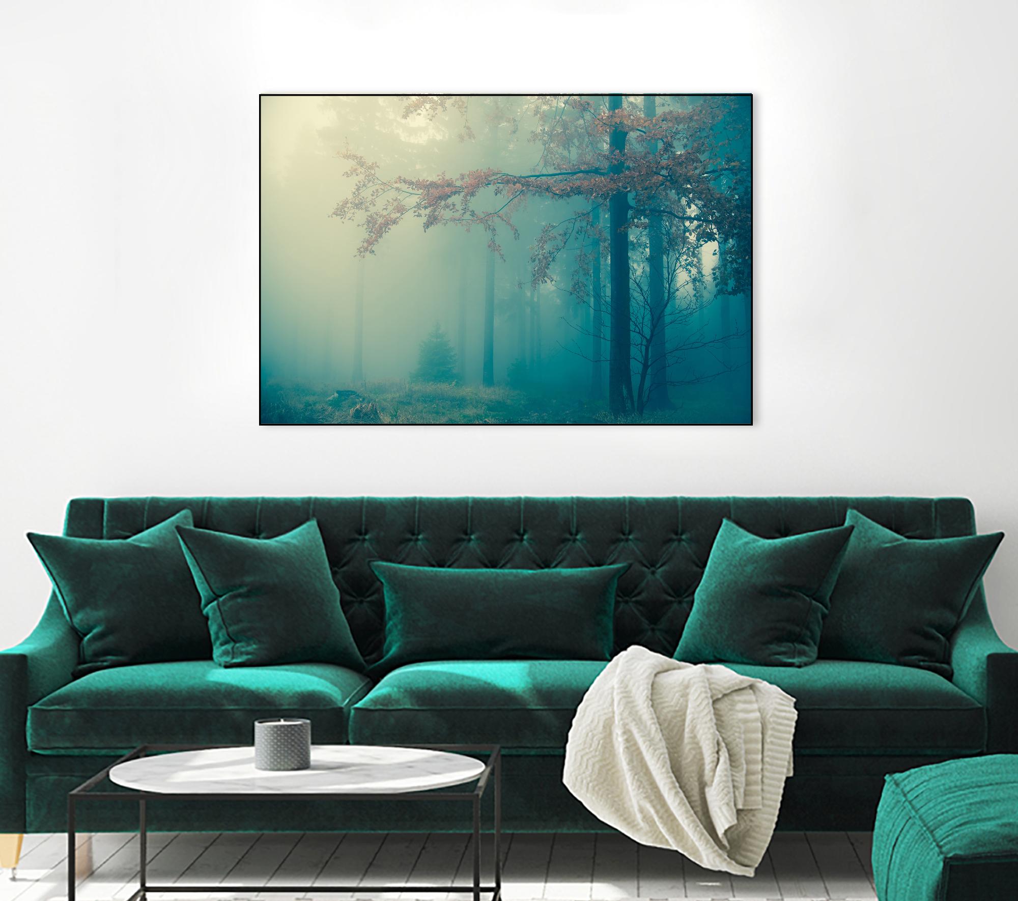 Woods by PhotoINC Studio on GIANT ART - multicolor photography; landscapes