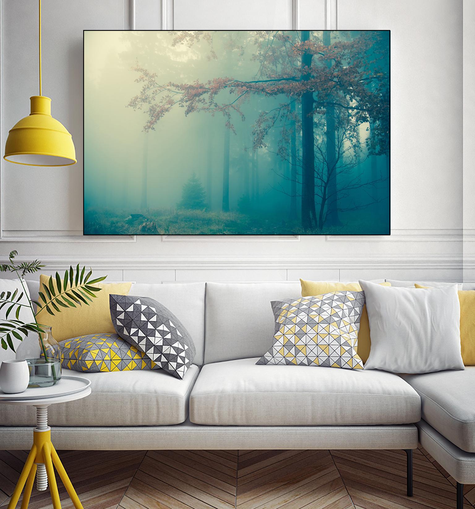 Woods by PhotoINC Studio on GIANT ART - multicolor photography; landscapes