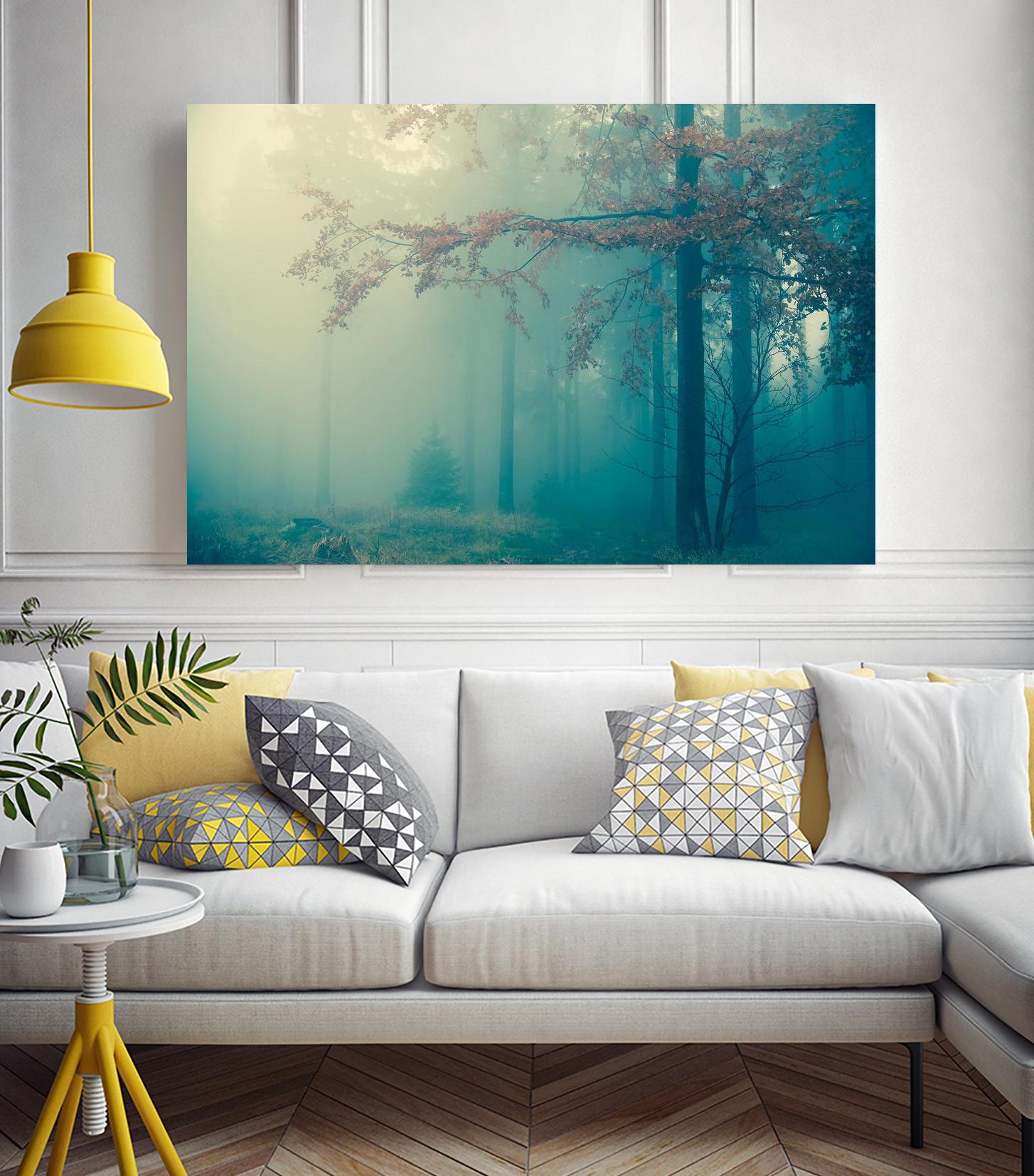 Woods by PhotoINC Studio on GIANT ART - multicolor photography; landscapes