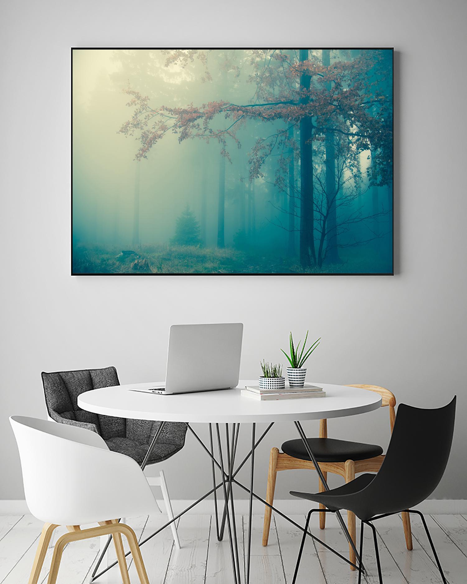 Woods by PhotoINC Studio on GIANT ART - multicolor photography; landscapes