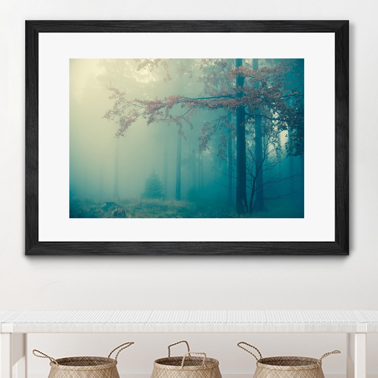 Woods by PhotoINC Studio on GIANT ART - multicolor photography; landscapes