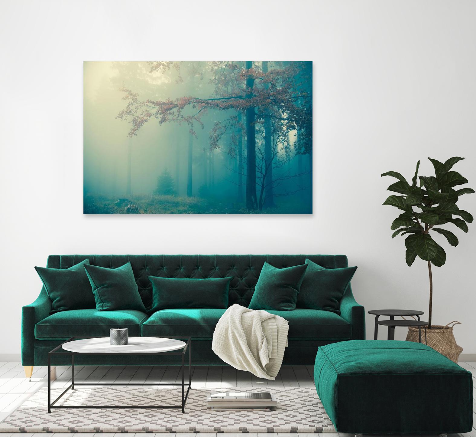 Woods by PhotoINC Studio on GIANT ART - multicolor photography; landscapes