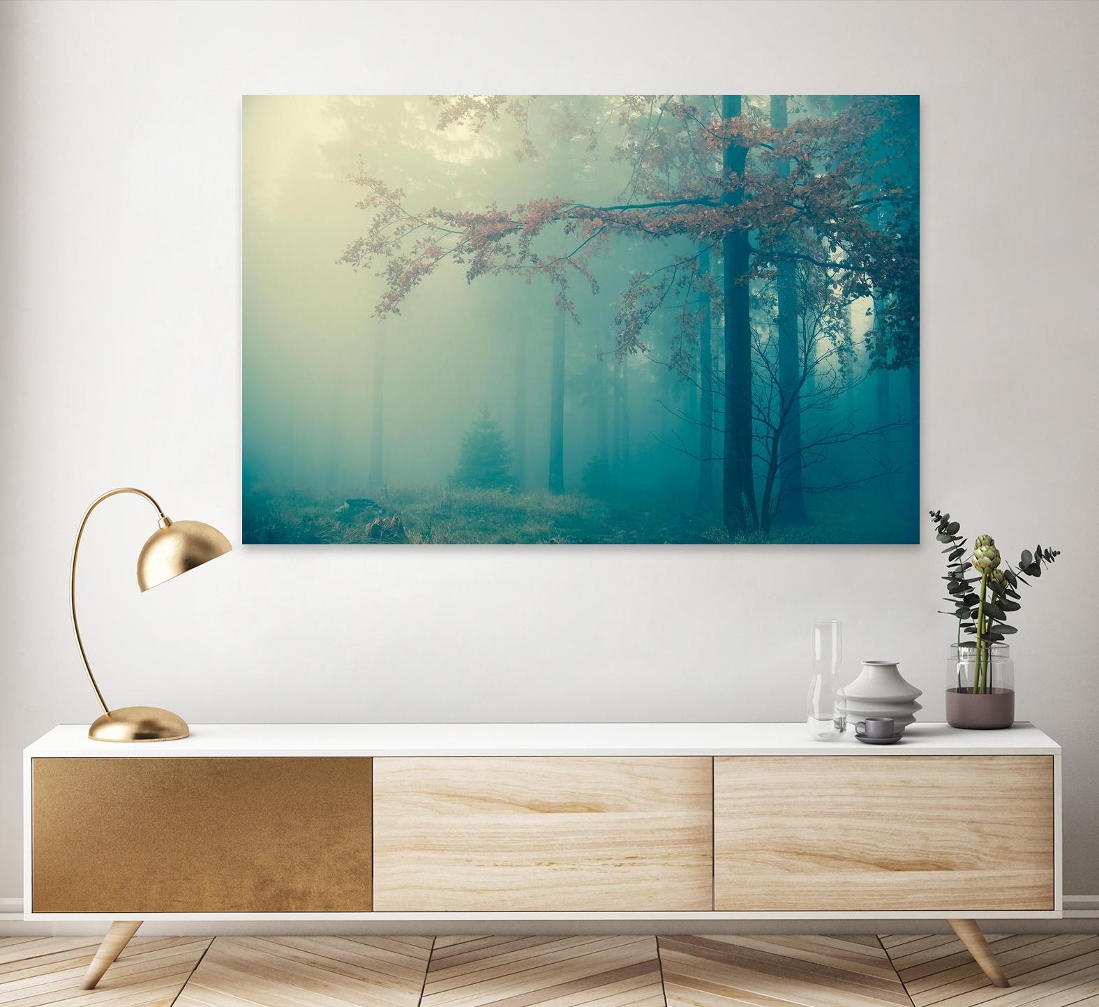 Woods by PhotoINC Studio on GIANT ART - multicolor photography; landscapes