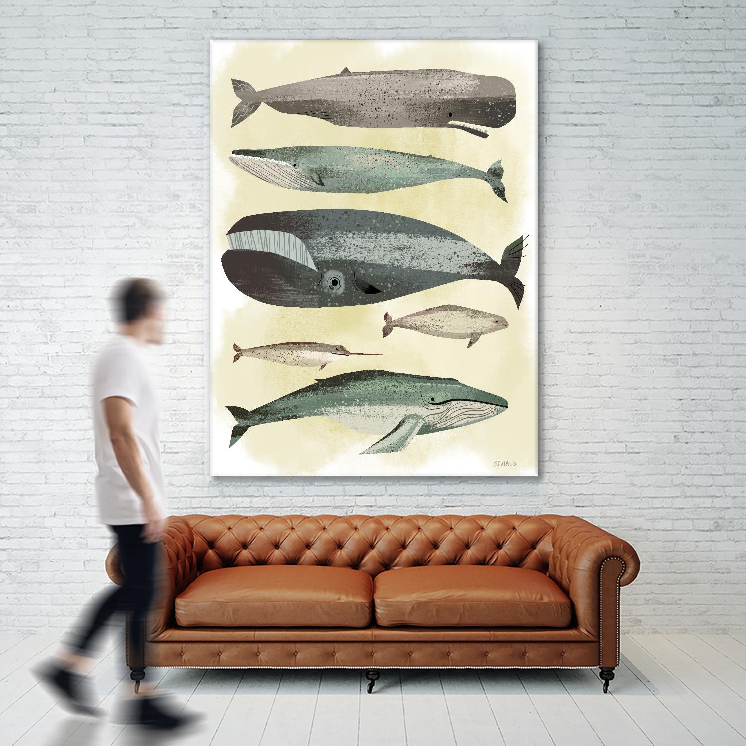 Whales by Pete Oswald on GIANT ART - multicolor animals