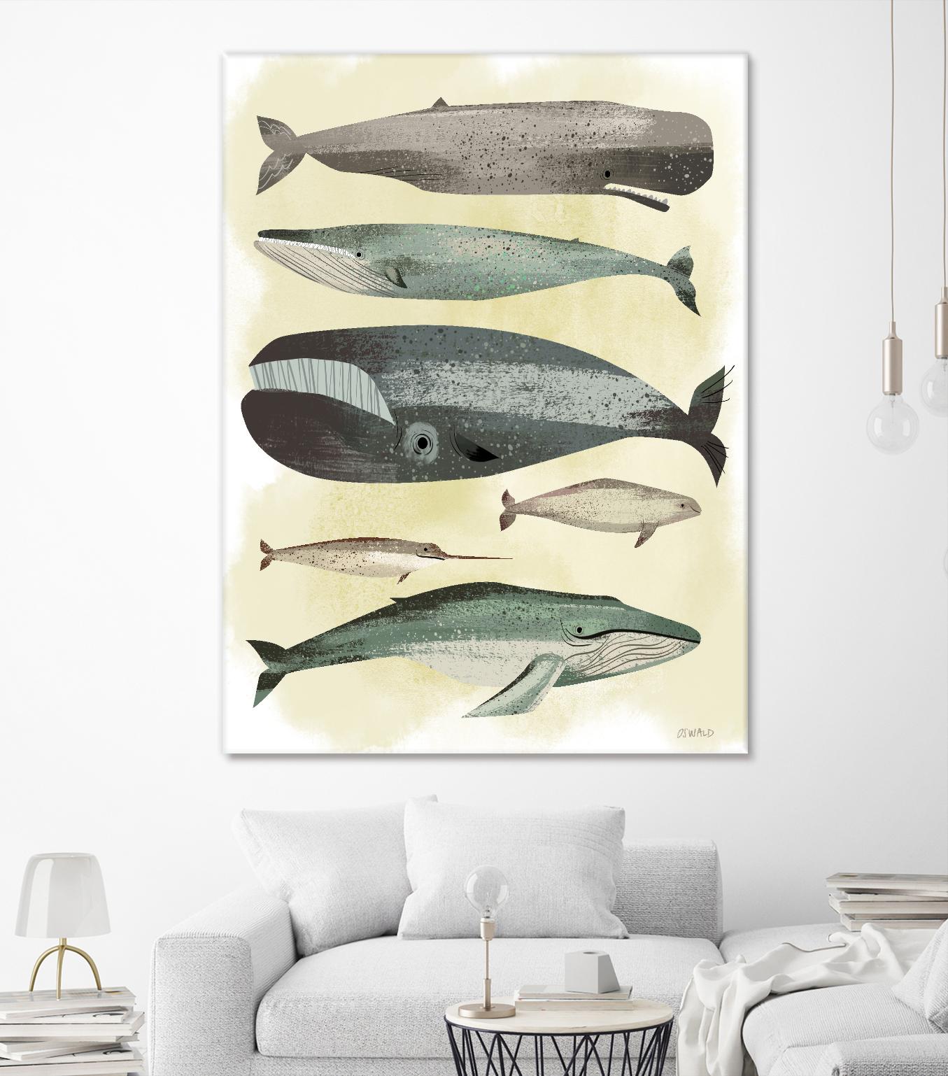 Whales by Pete Oswald on GIANT ART - multicolor animals