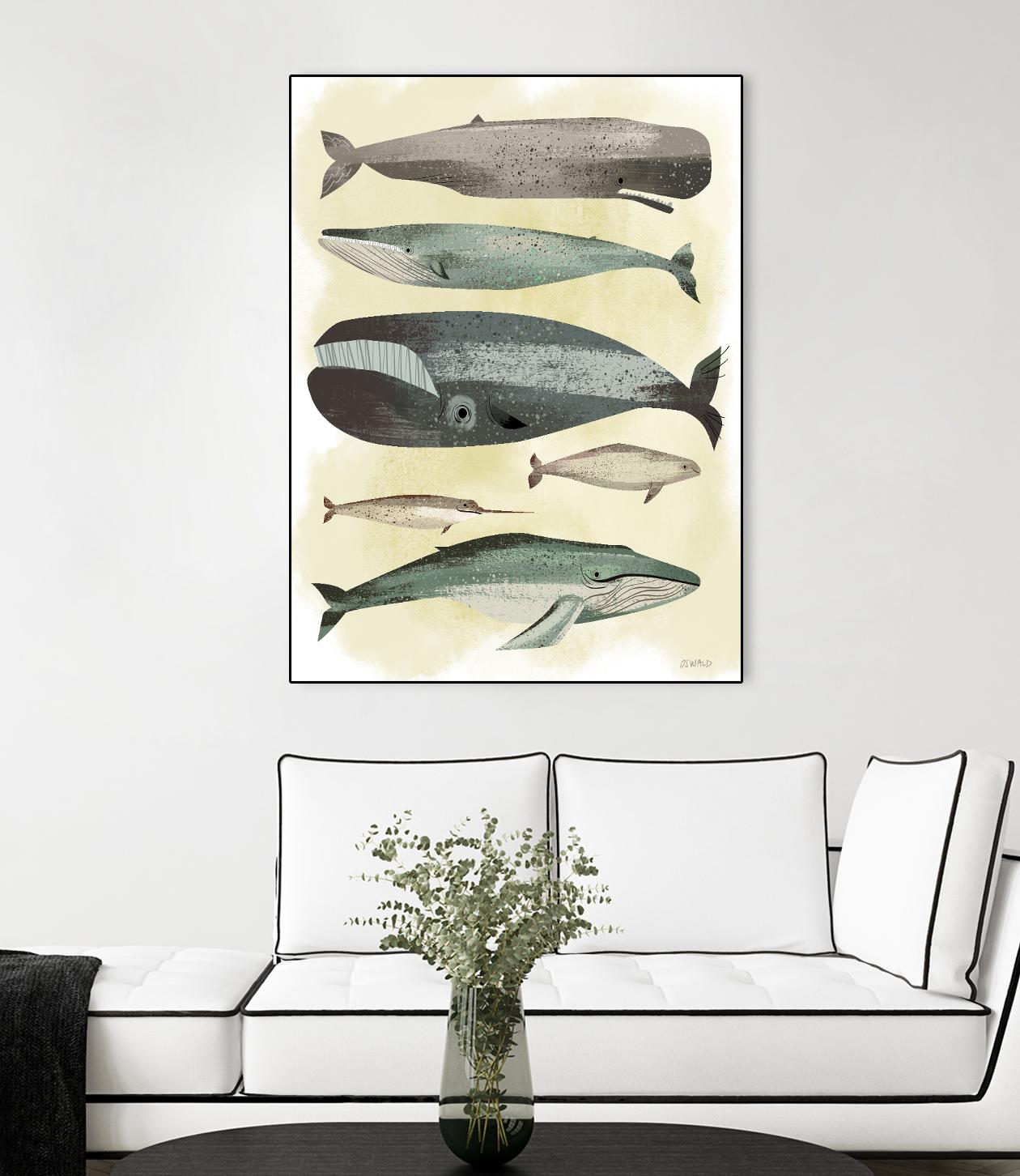 Whales by Pete Oswald on GIANT ART - multicolor animals