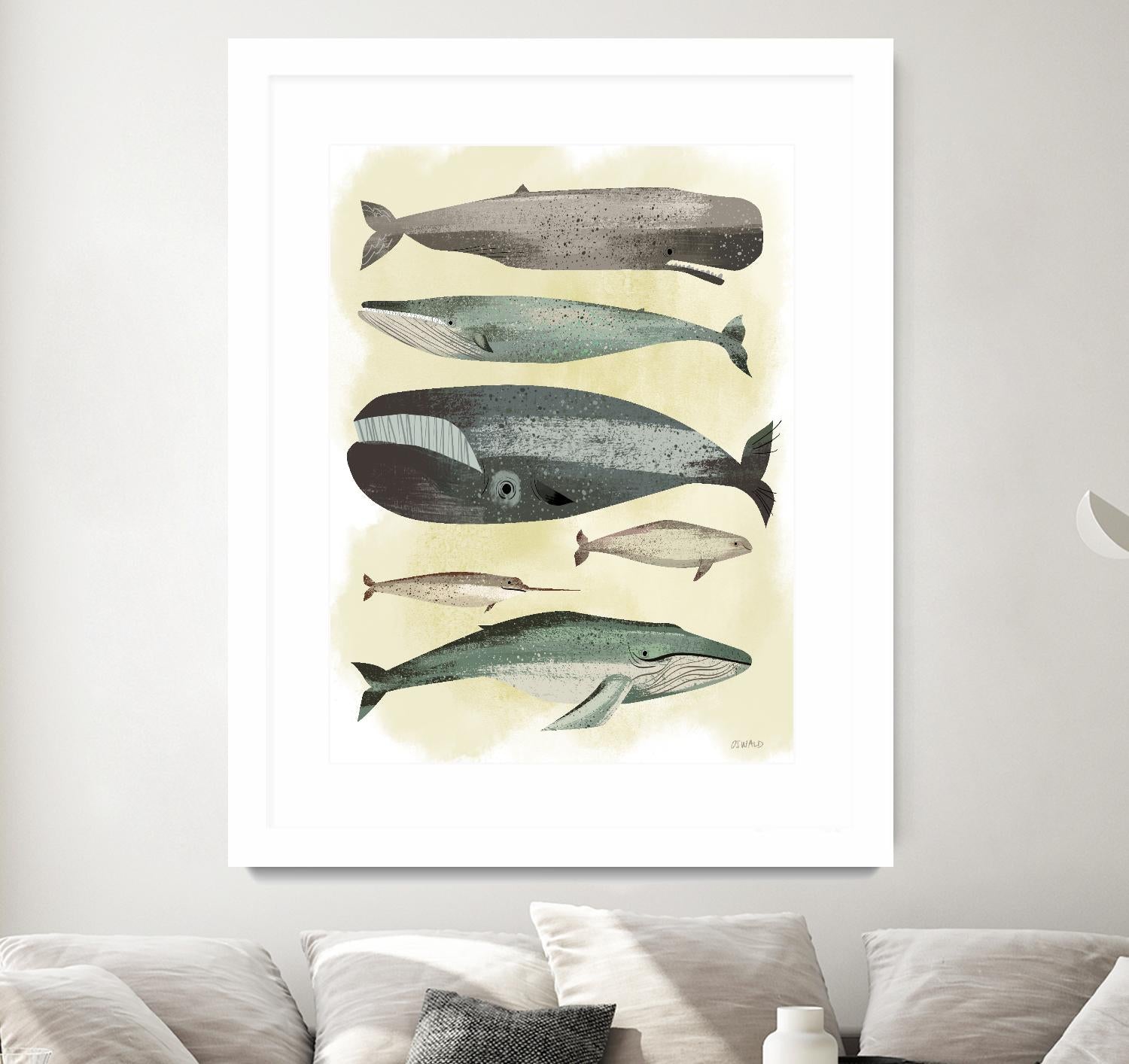 Whales by Pete Oswald on GIANT ART - multicolor animals