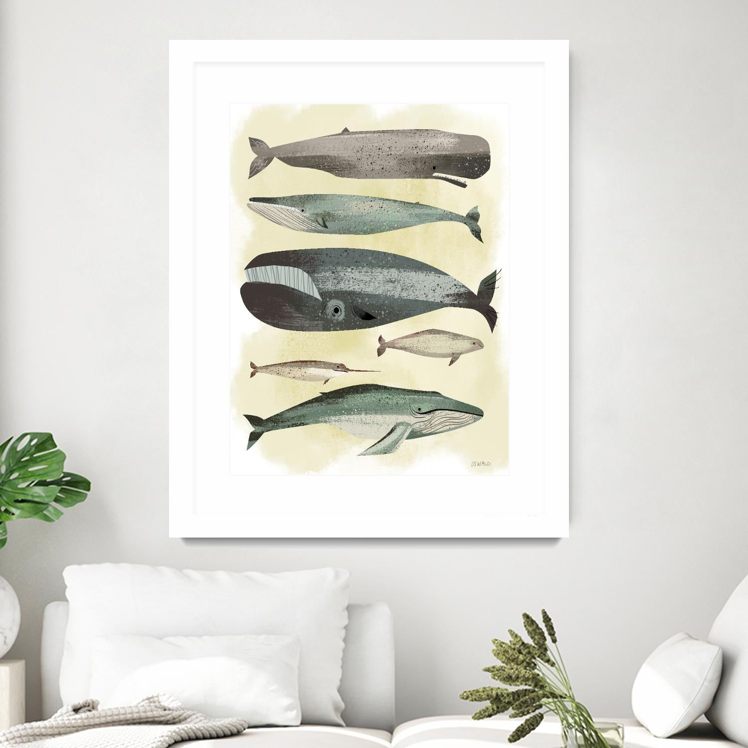 Whales by Pete Oswald on GIANT ART - multicolor animals