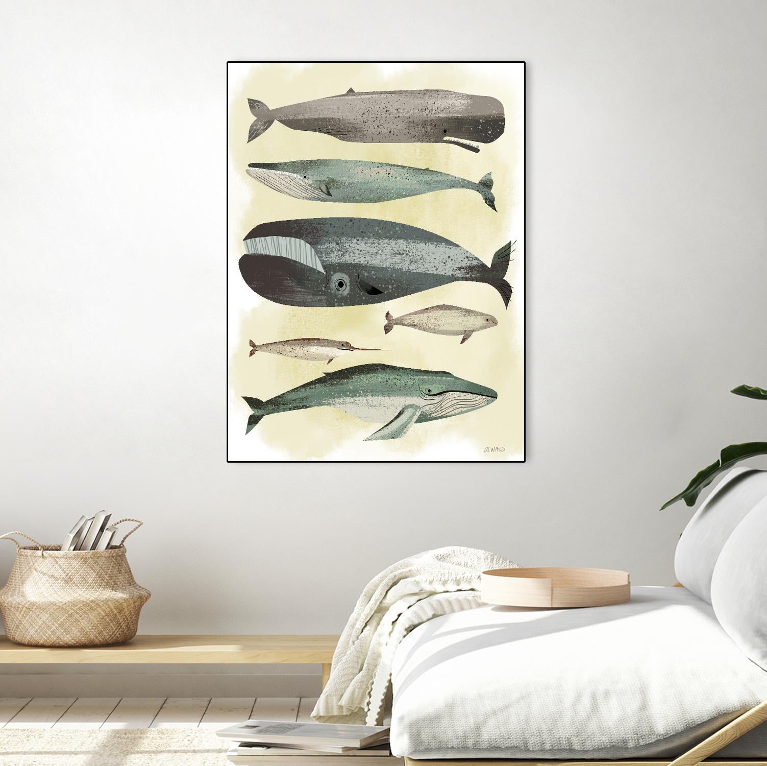 Whales by Pete Oswald on GIANT ART - multicolor animals