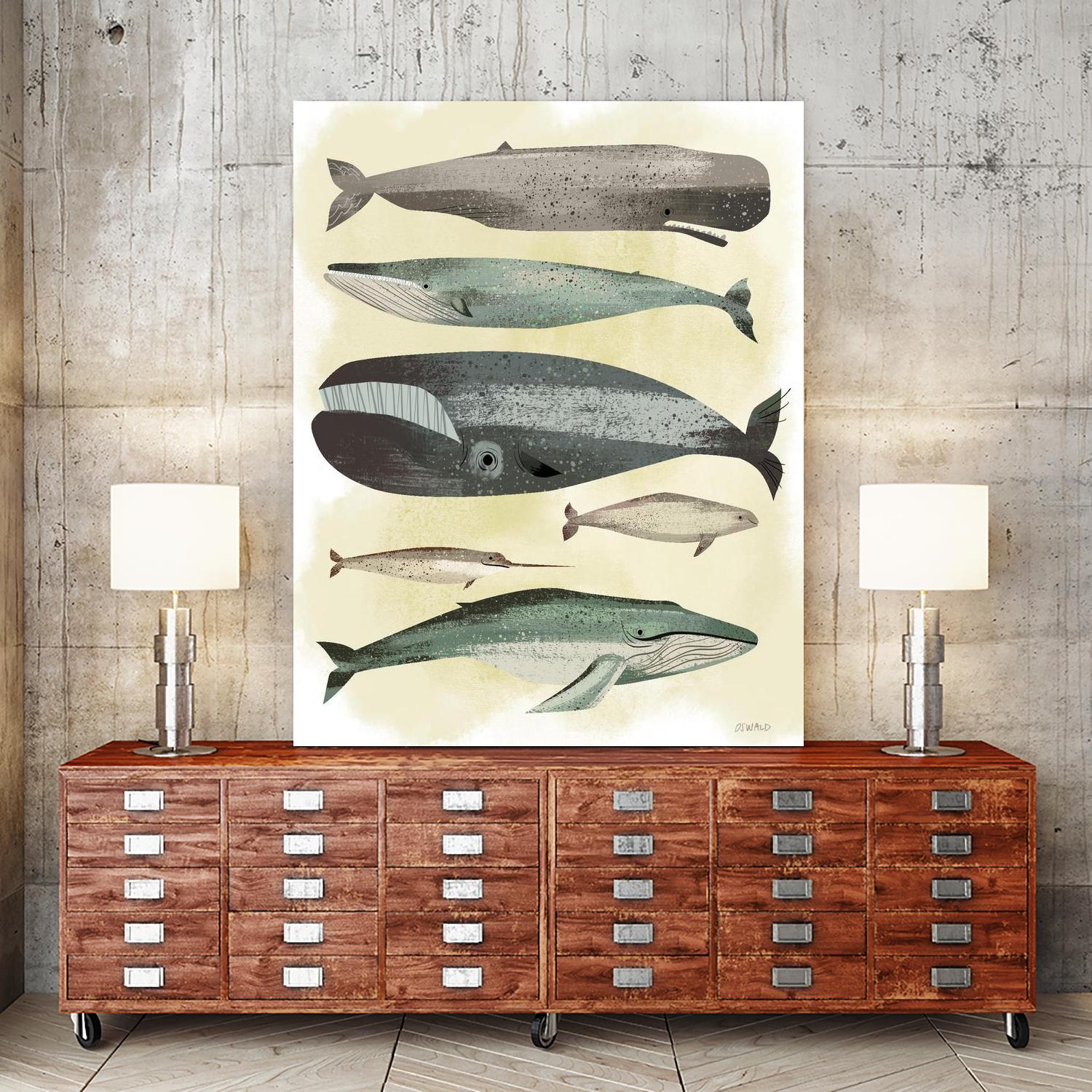 Whales by Pete Oswald on GIANT ART - multicolor animals