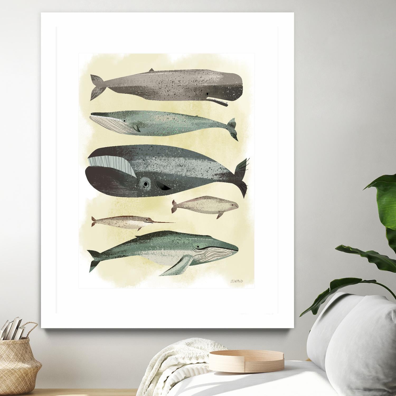 Whales by Pete Oswald on GIANT ART - multicolor animals