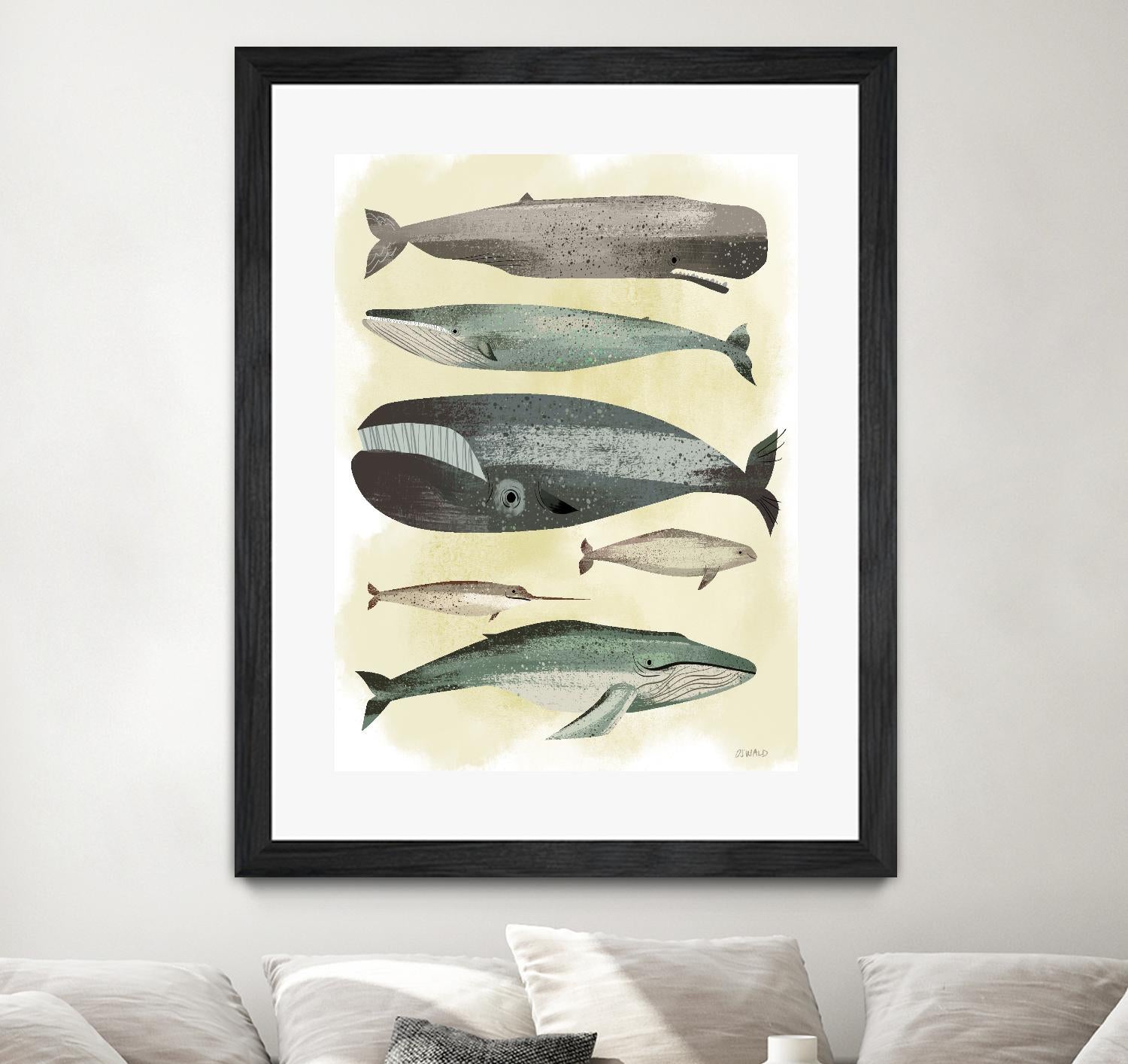 Whales by Pete Oswald on GIANT ART - multicolor animals