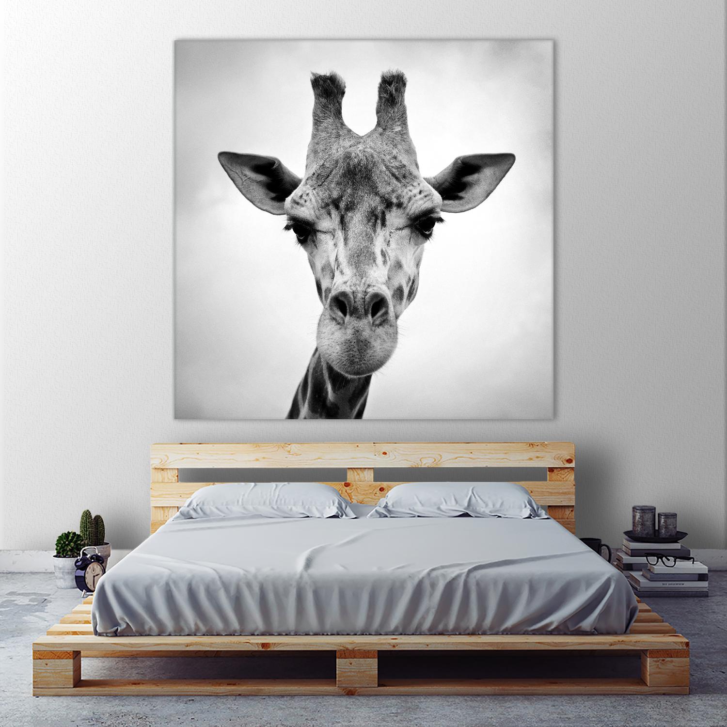 Giraffe by PhotoINC Studio on GIANT ART - white animals