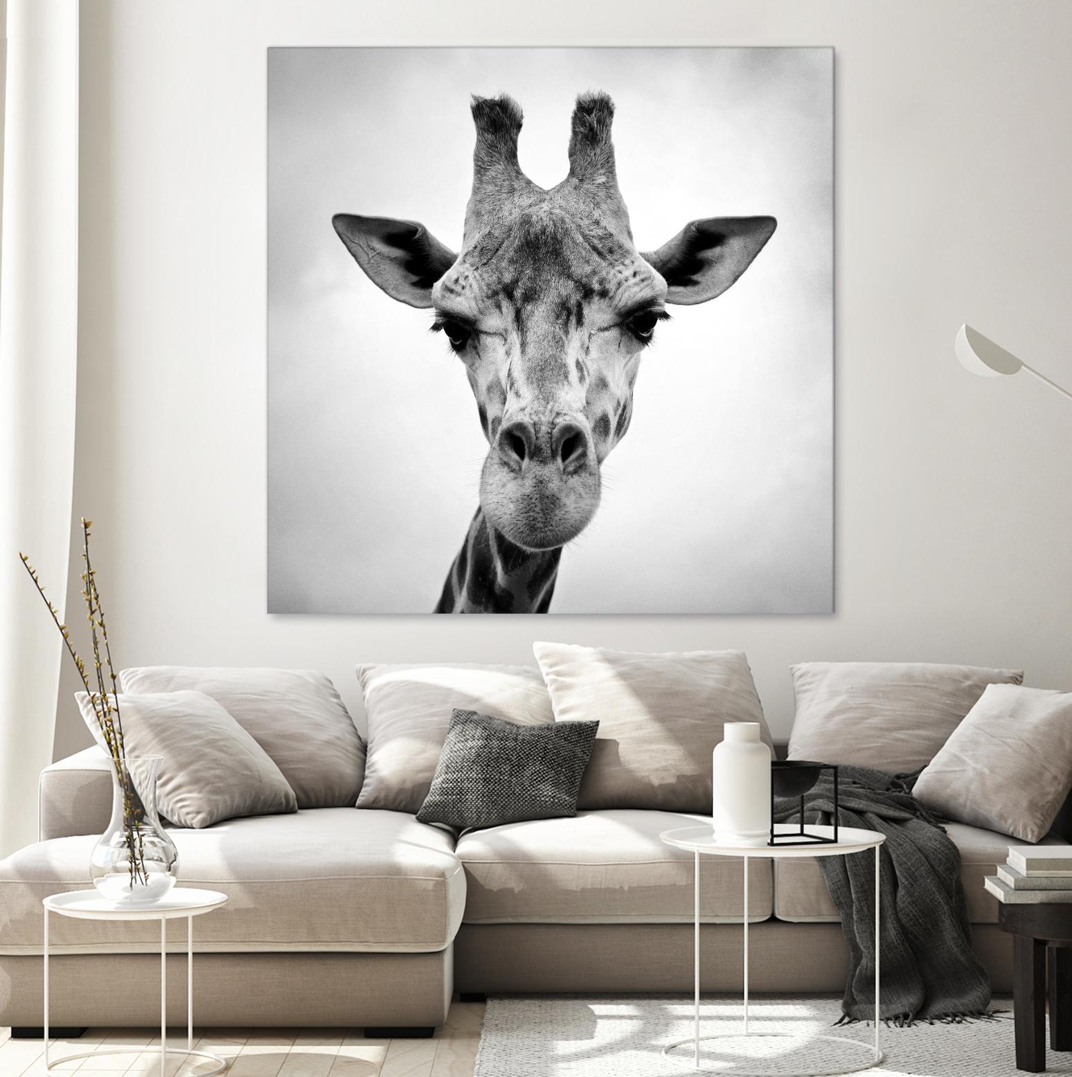 Giraffe by PhotoINC Studio on GIANT ART - white animals
