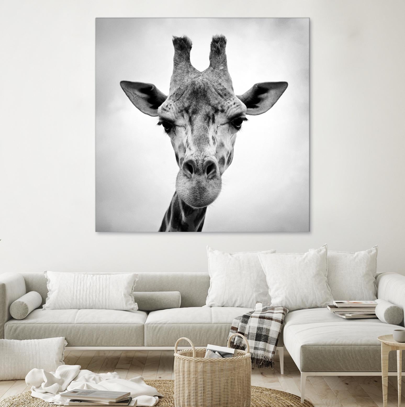 Giraffe by PhotoINC Studio on GIANT ART - white animals