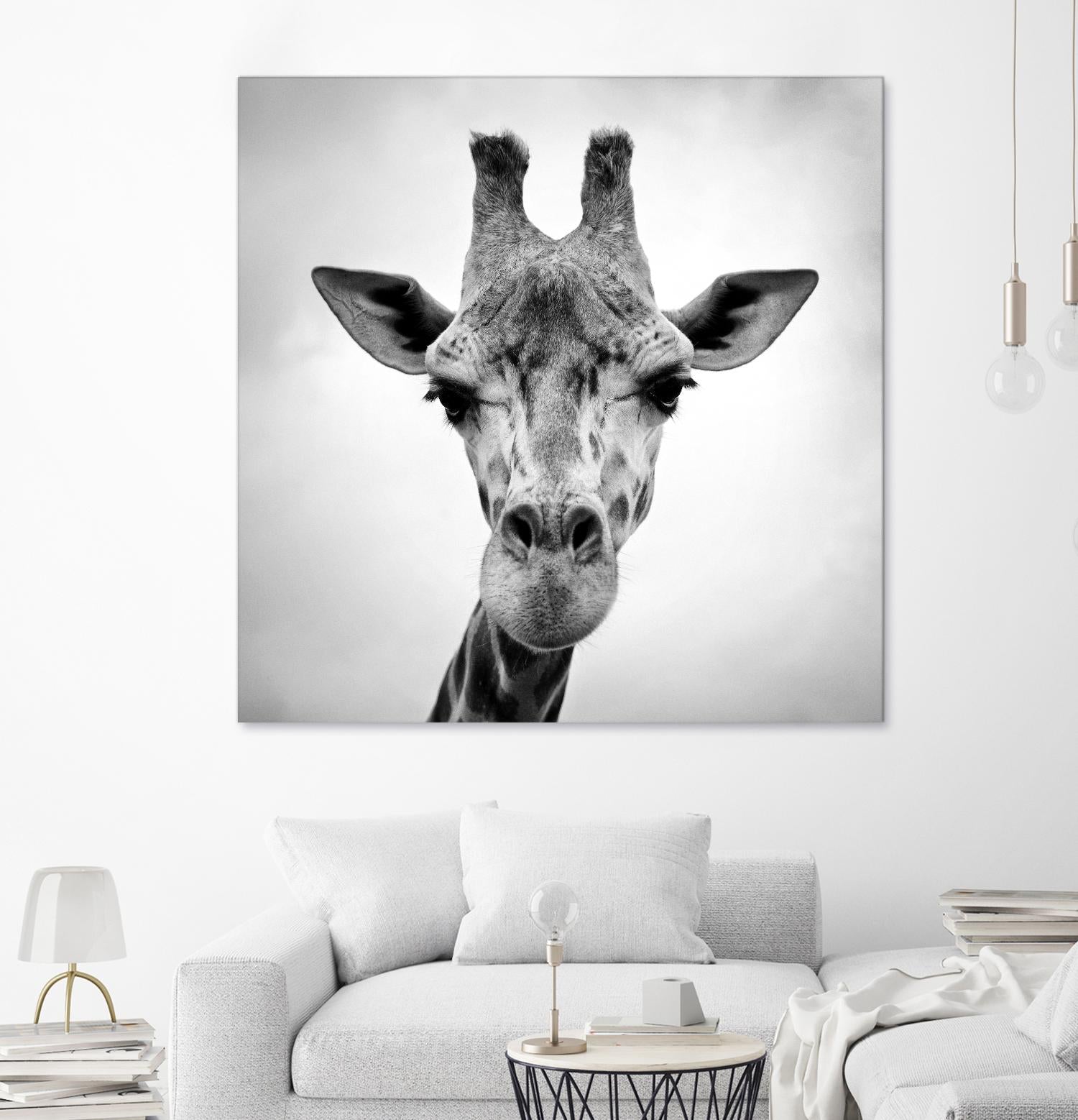 Giraffe by PhotoINC Studio on GIANT ART - white animals