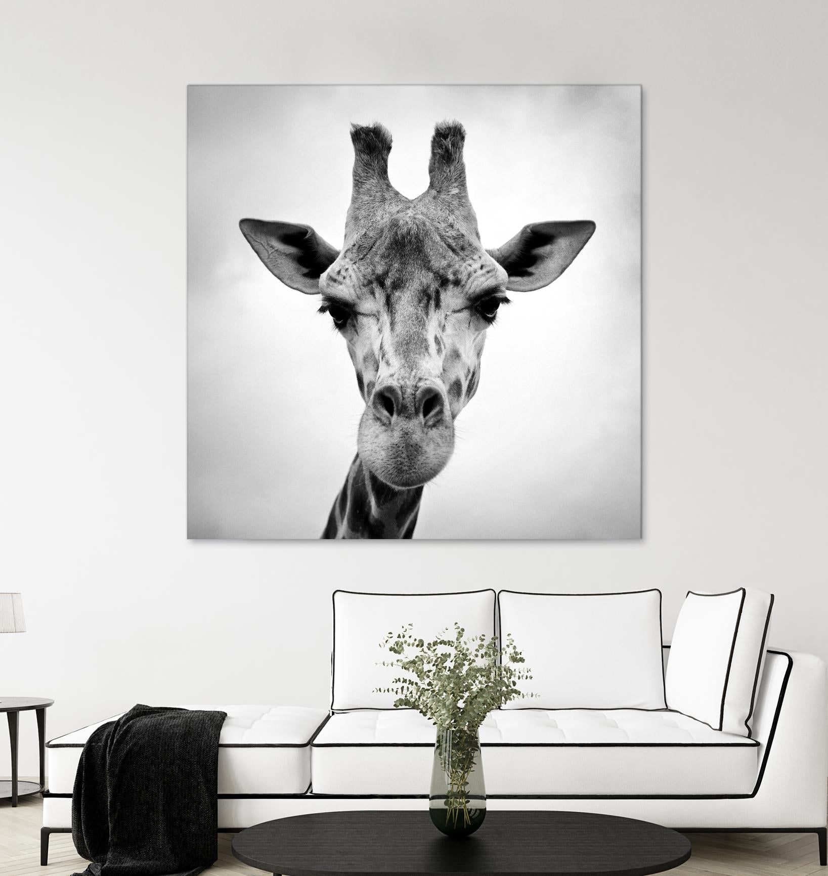 Giraffe by PhotoINC Studio on GIANT ART - white animals