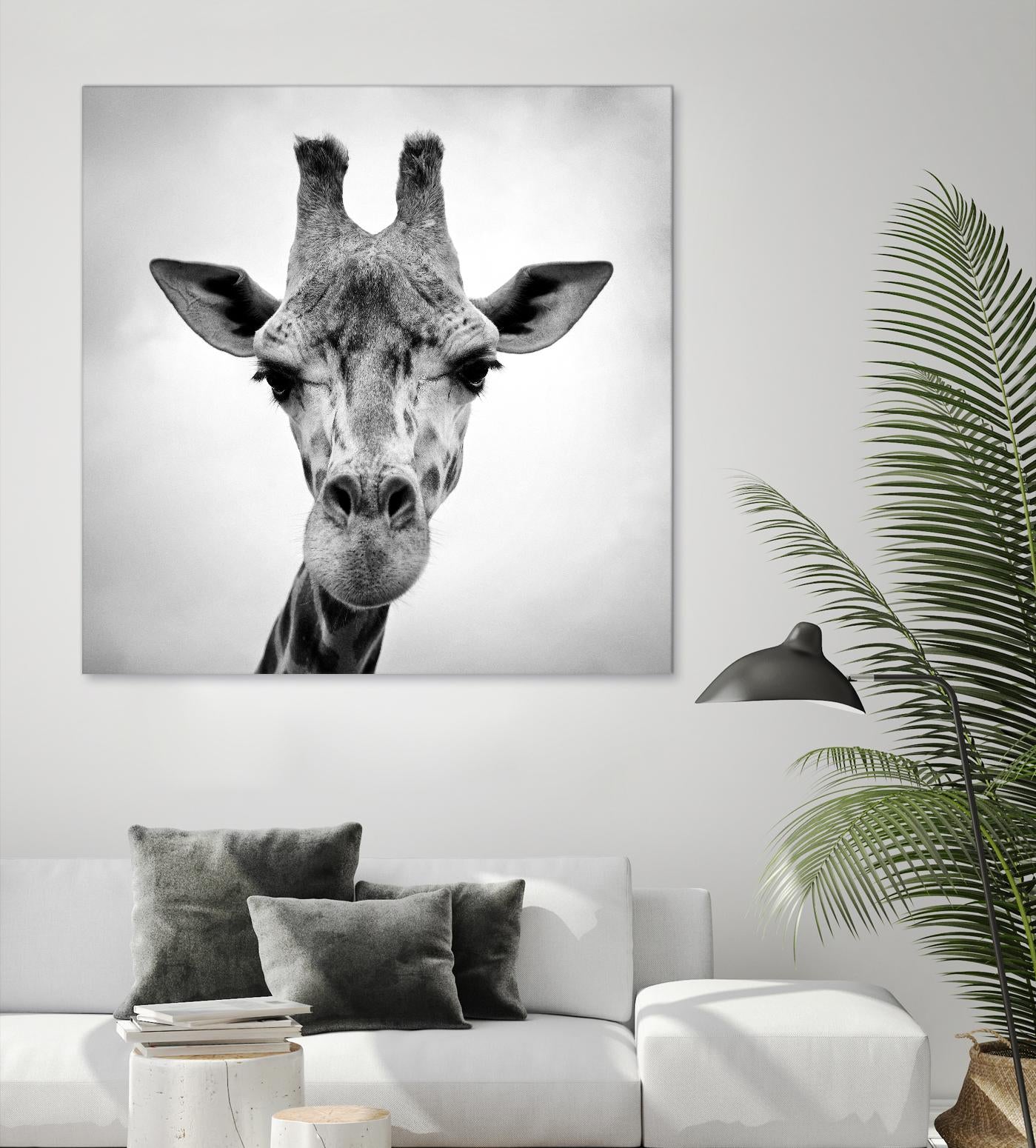 Giraffe by PhotoINC Studio on GIANT ART - white animals