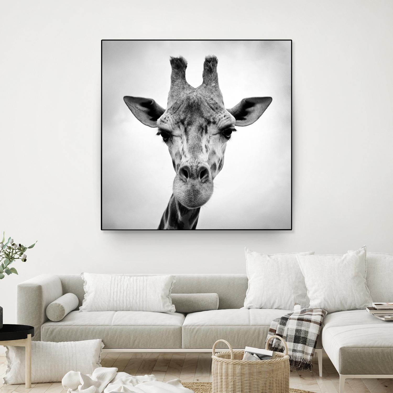 Giraffe by PhotoINC Studio on GIANT ART - white animals