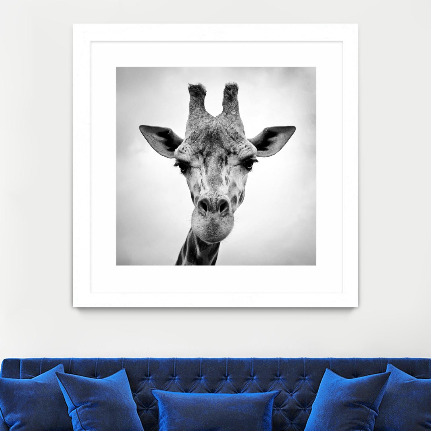 Giraffe by PhotoINC Studio on GIANT ART - white animals