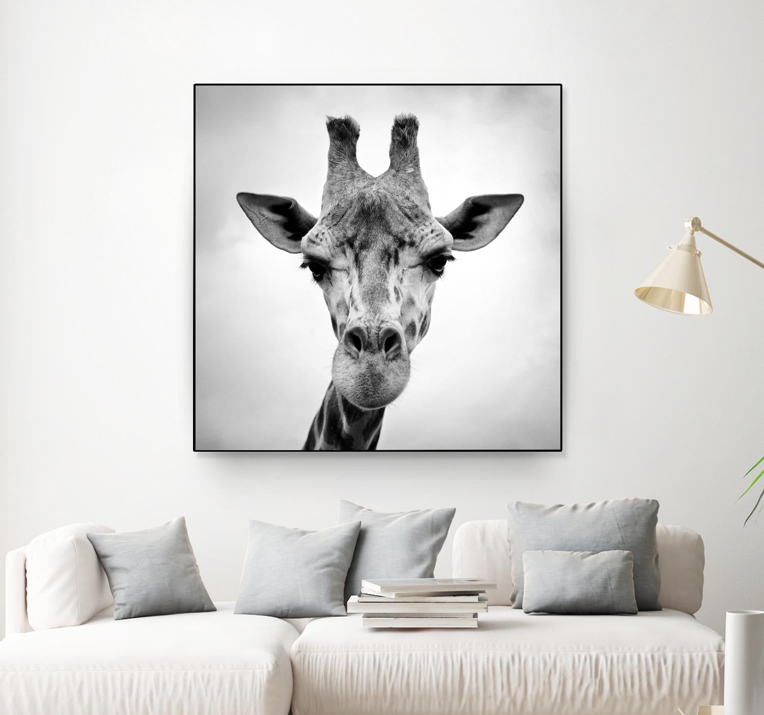 Giraffe by PhotoINC Studio on GIANT ART - white animals