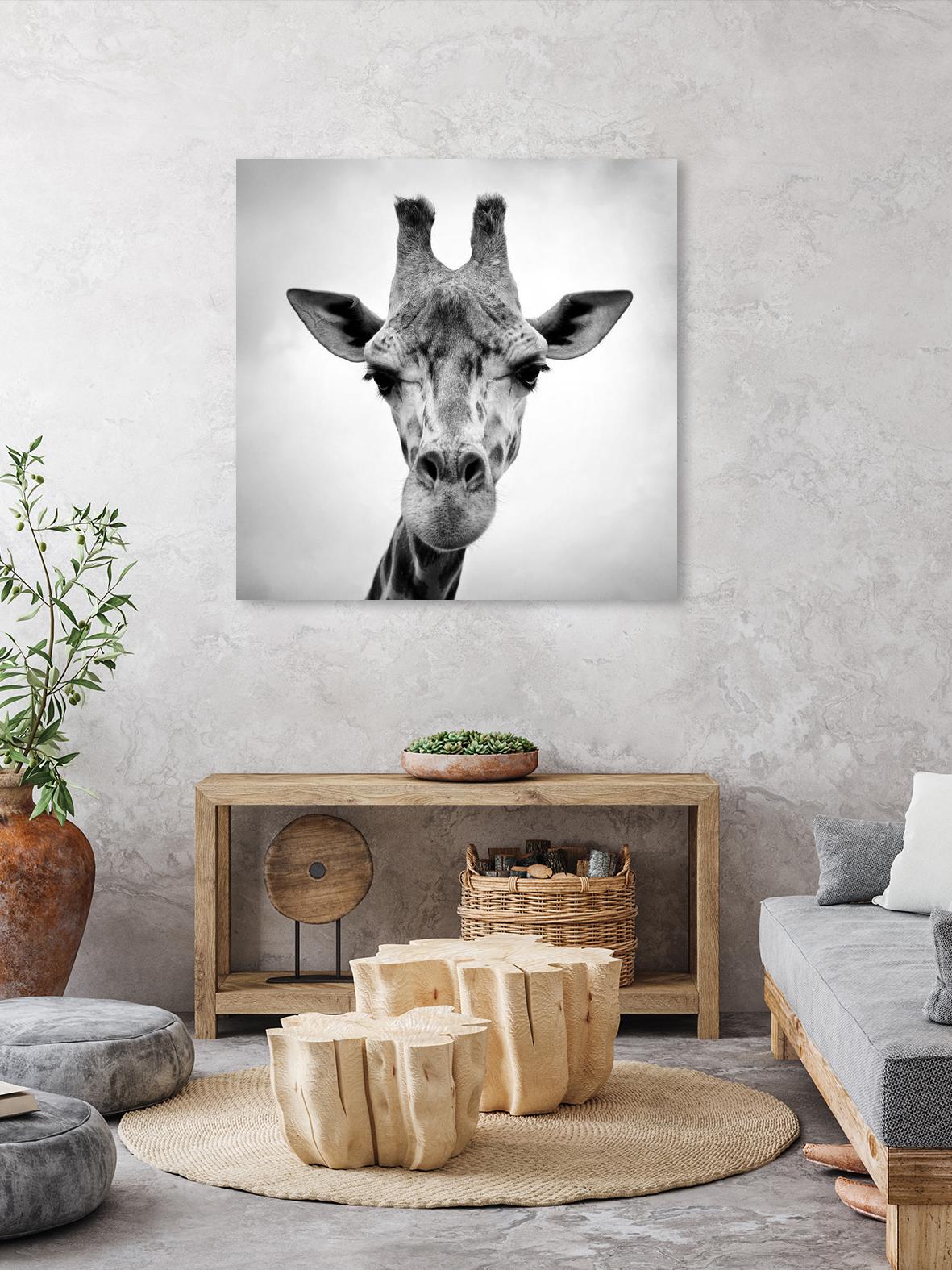 Giraffe by PhotoINC Studio on GIANT ART - white animals