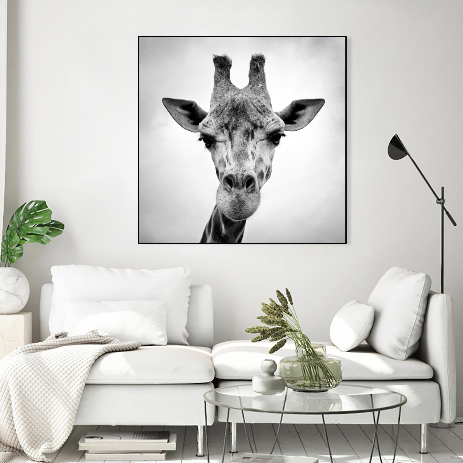 Giraffe by PhotoINC Studio on GIANT ART - white animals
