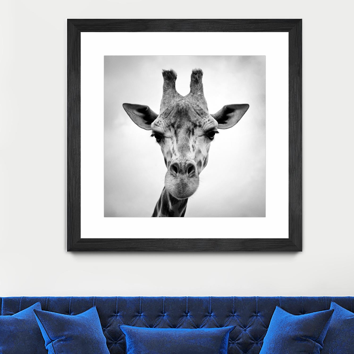 Giraffe by PhotoINC Studio on GIANT ART - white animals