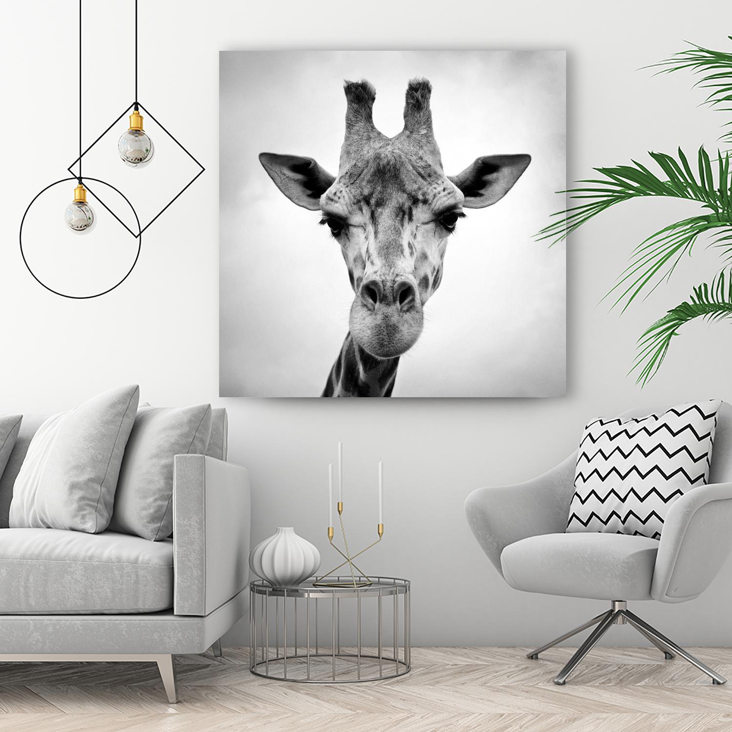 Giraffe by PhotoINC Studio on GIANT ART - white animals