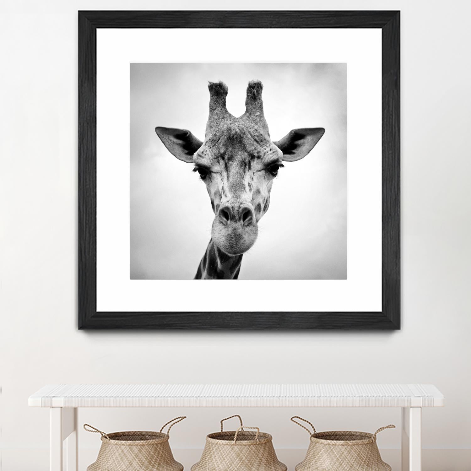 Giraffe by PhotoINC Studio on GIANT ART - white animals