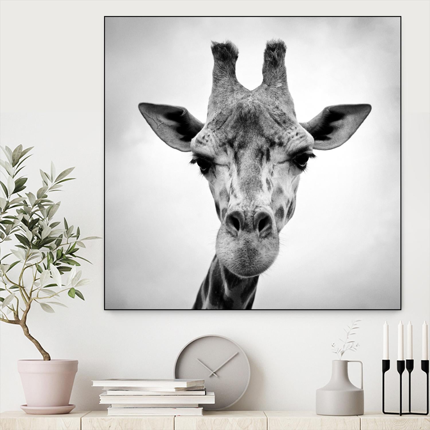 Giraffe by PhotoINC Studio on GIANT ART - white animals