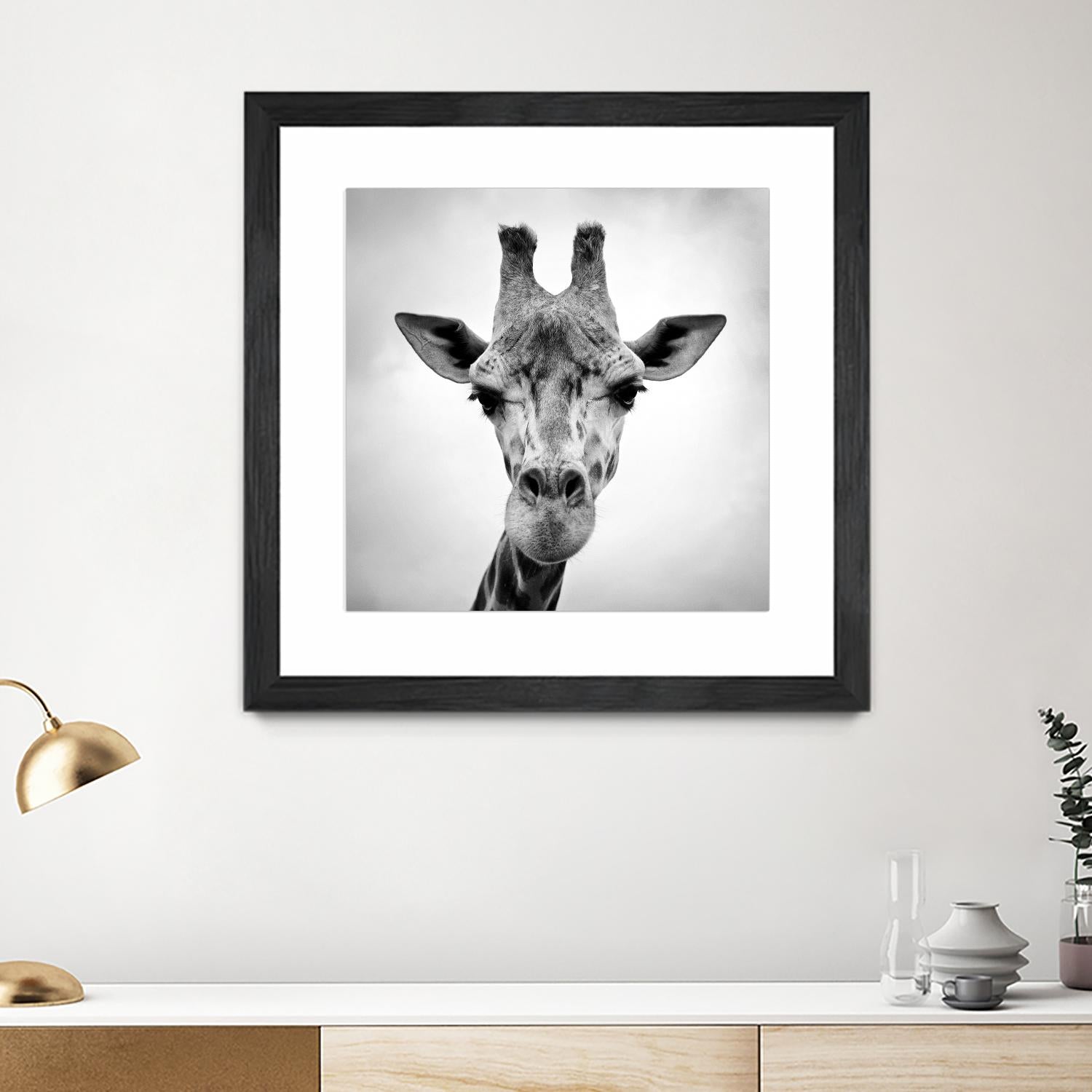 Giraffe by PhotoINC Studio on GIANT ART - white animals