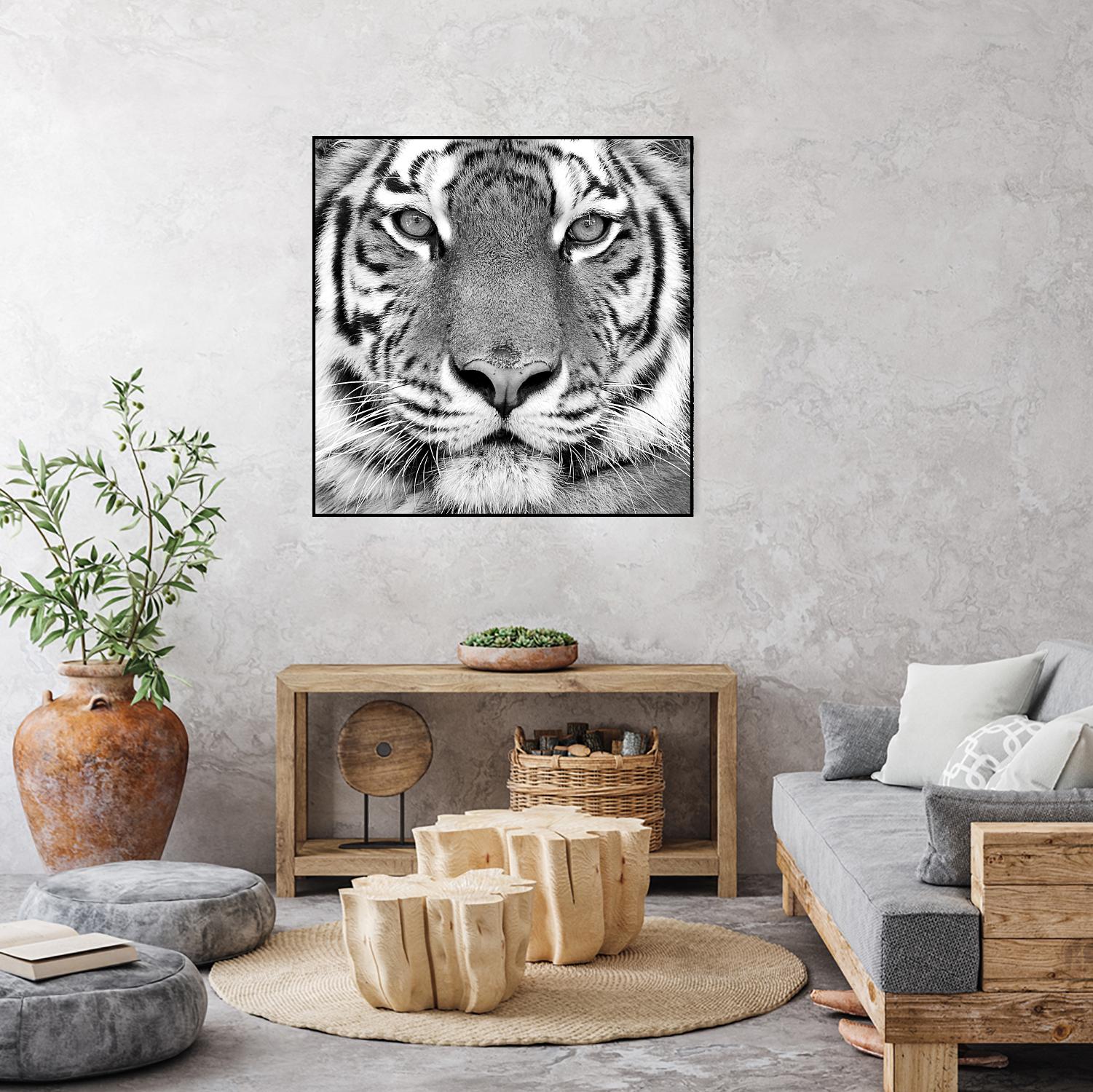 Tiger by PhotoINC Studio on GIANT ART - white animals