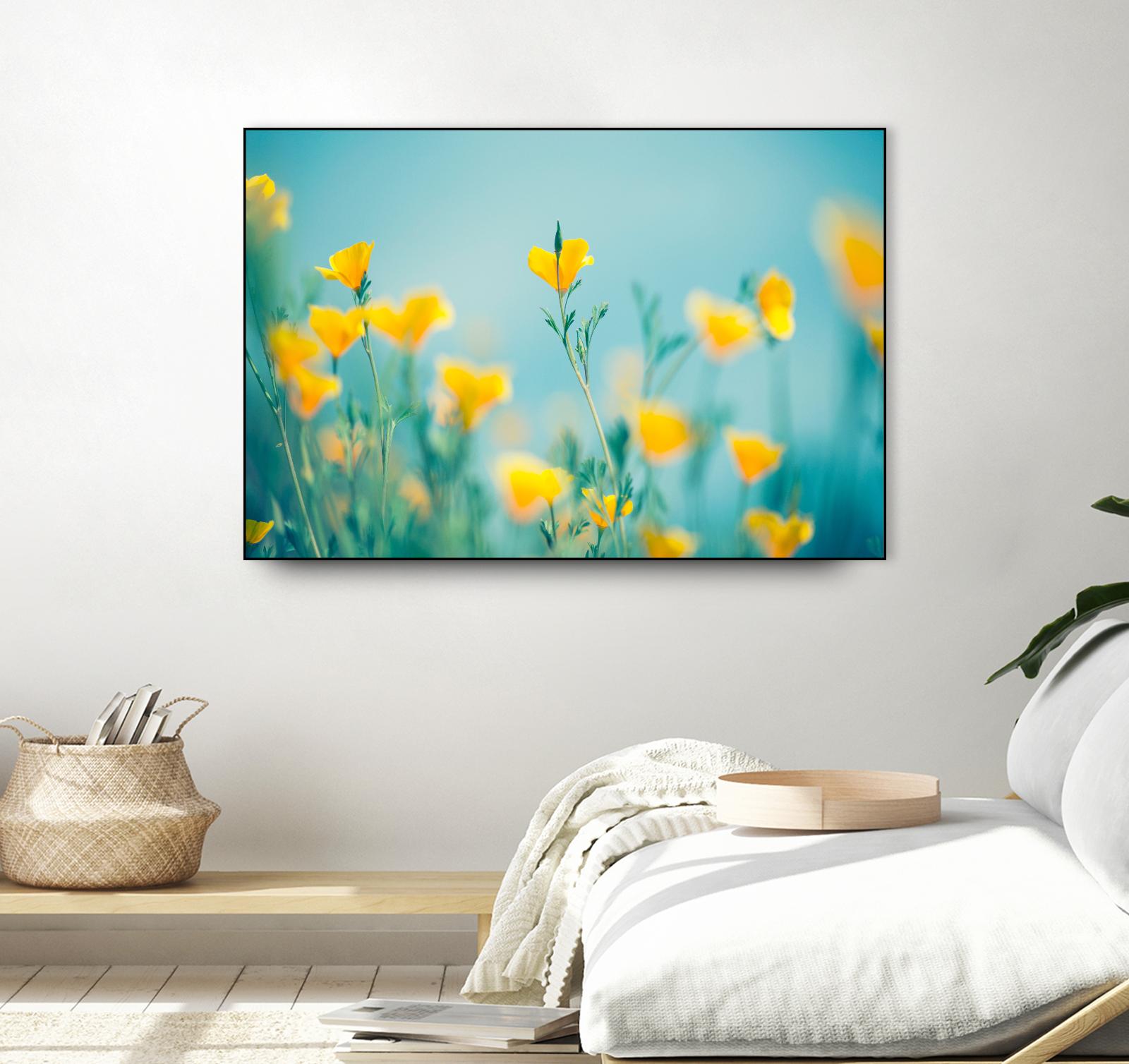 California Dream by Lee Sie on GIANT ART - multicolor photography; floral/still life