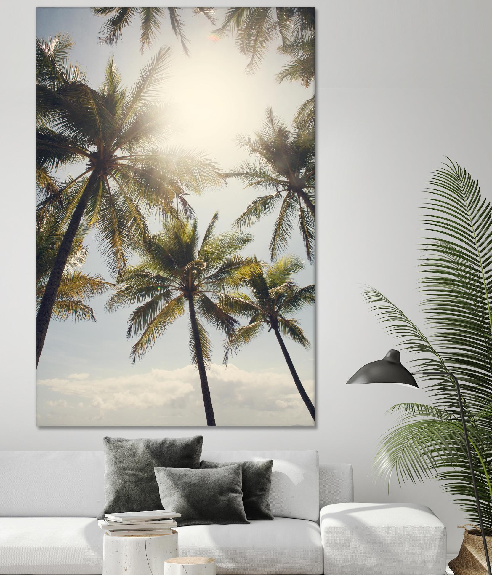 Standing in the Sun by Catherine McDonald on GIANT ART - white tropical