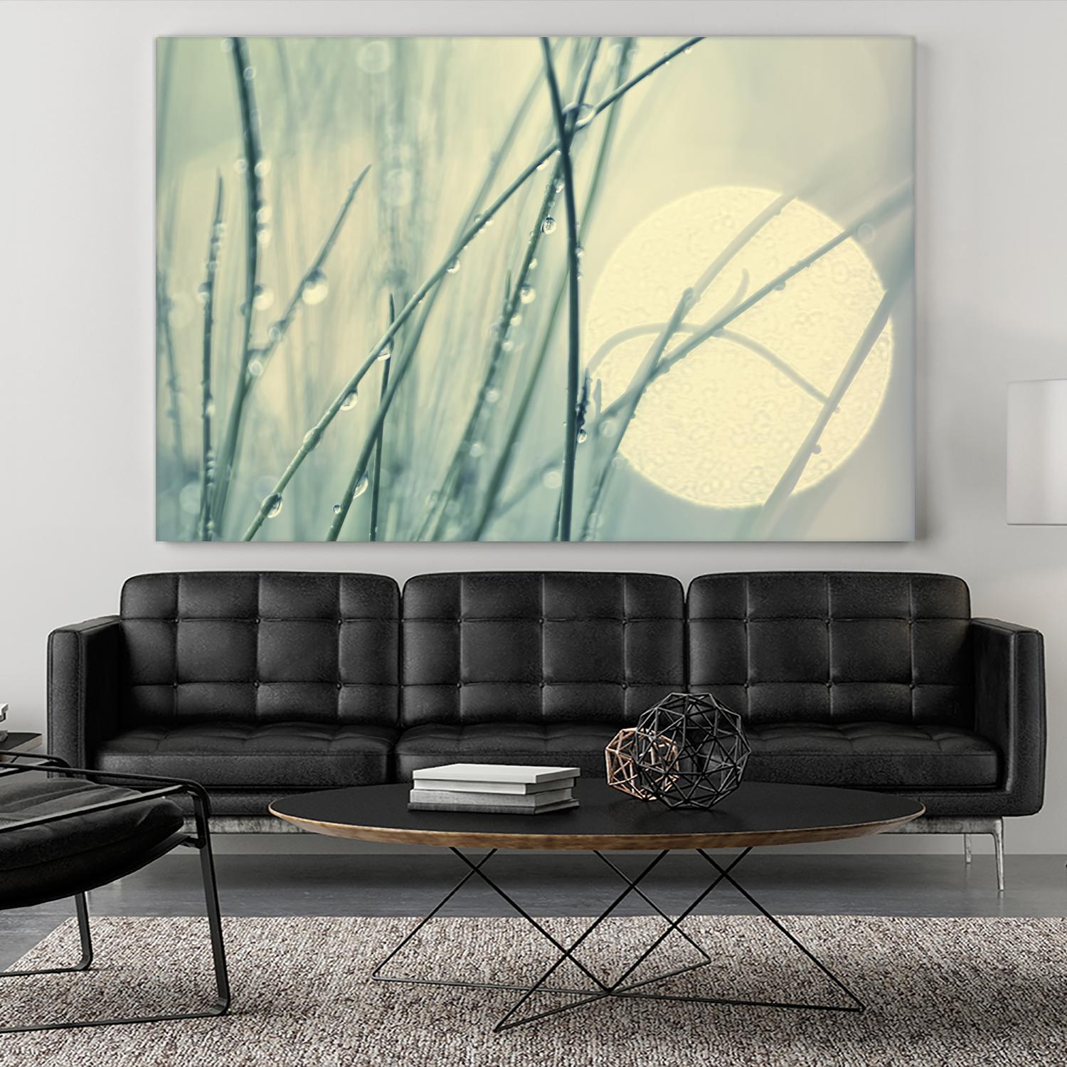 Morning Blues by Ingrid Beddoes on GIANT ART - beige photo art