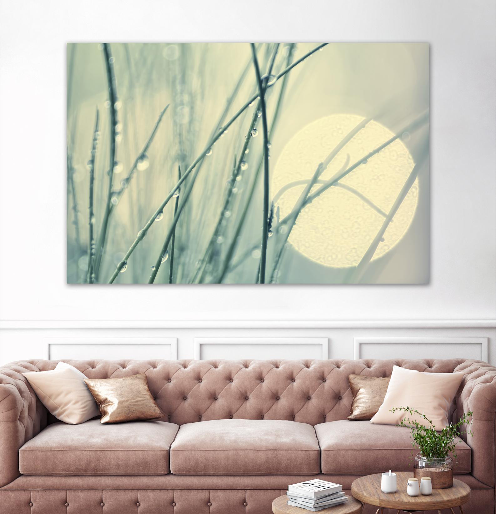 Morning Blues by Ingrid Beddoes on GIANT ART - beige photo art