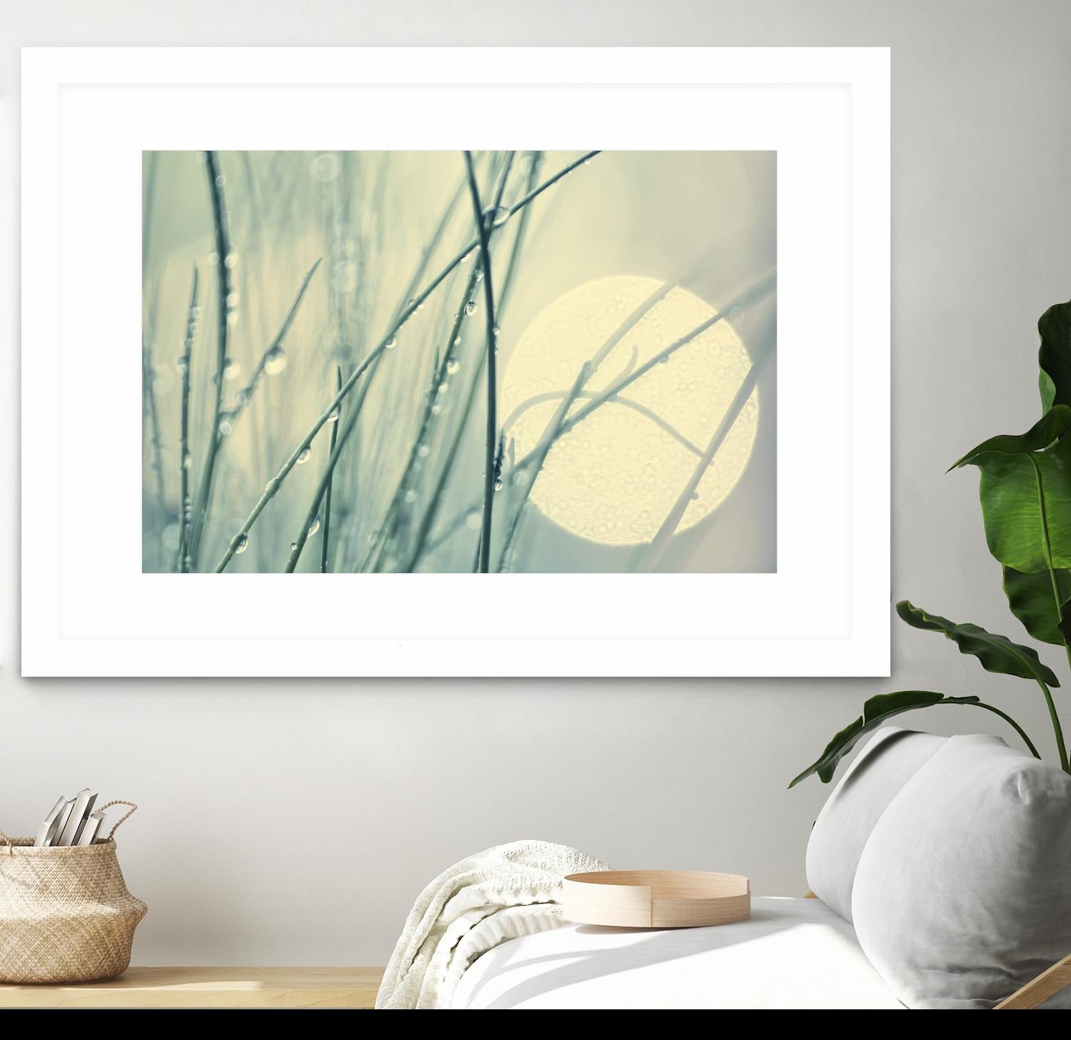 Morning Blues by Ingrid Beddoes on GIANT ART - beige photo art