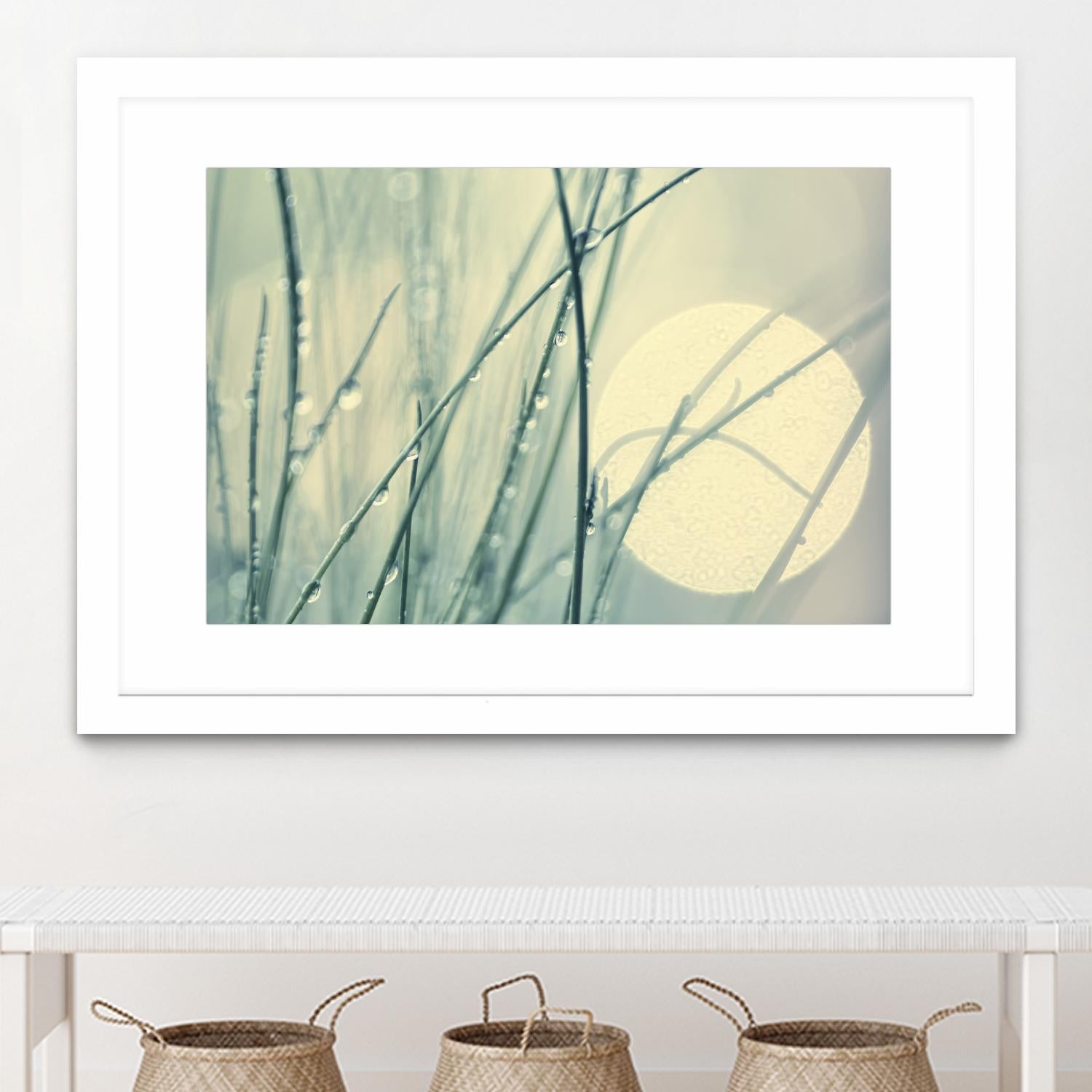 Morning Blues by Ingrid Beddoes on GIANT ART - beige photo art