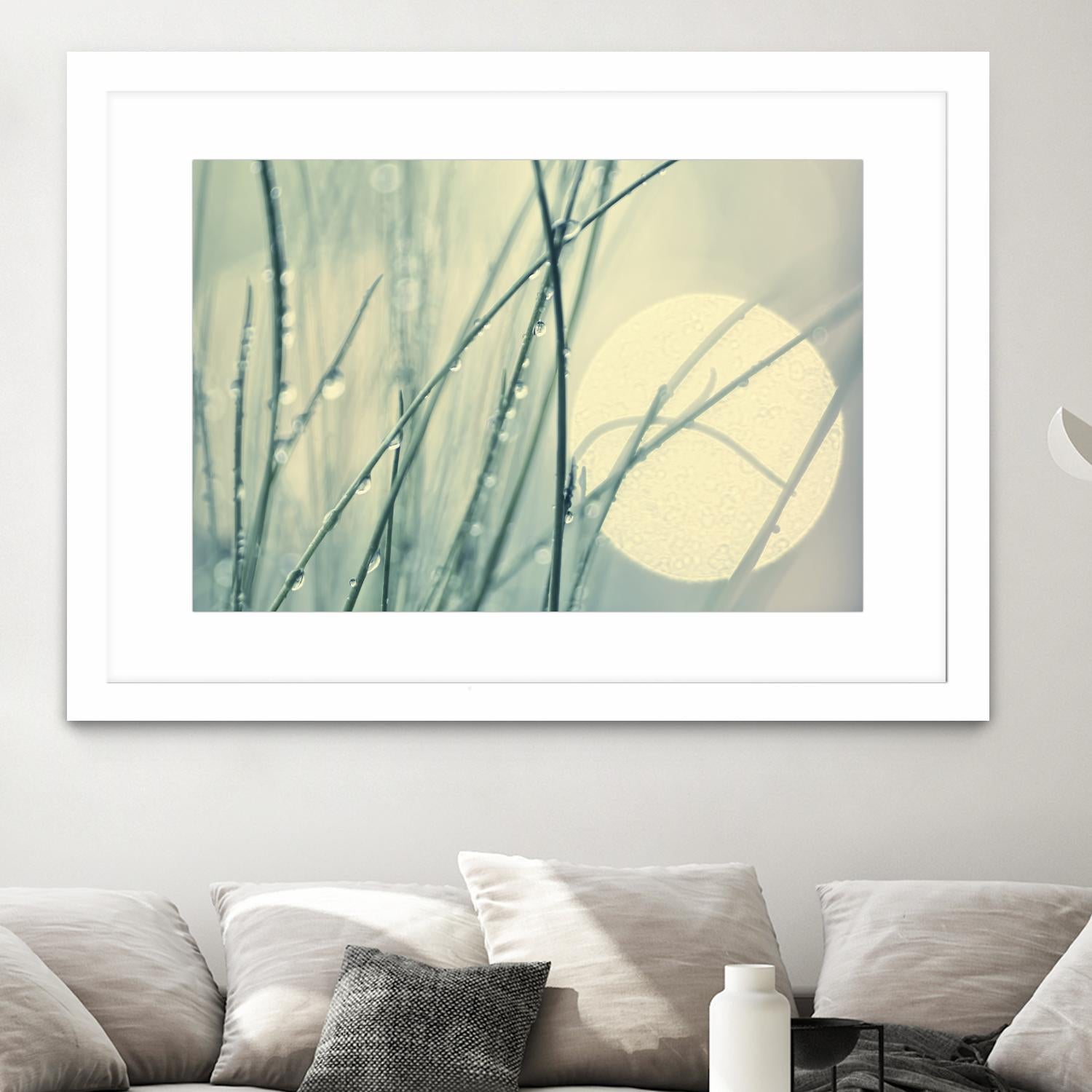 Morning Blues by Ingrid Beddoes on GIANT ART - beige photo art