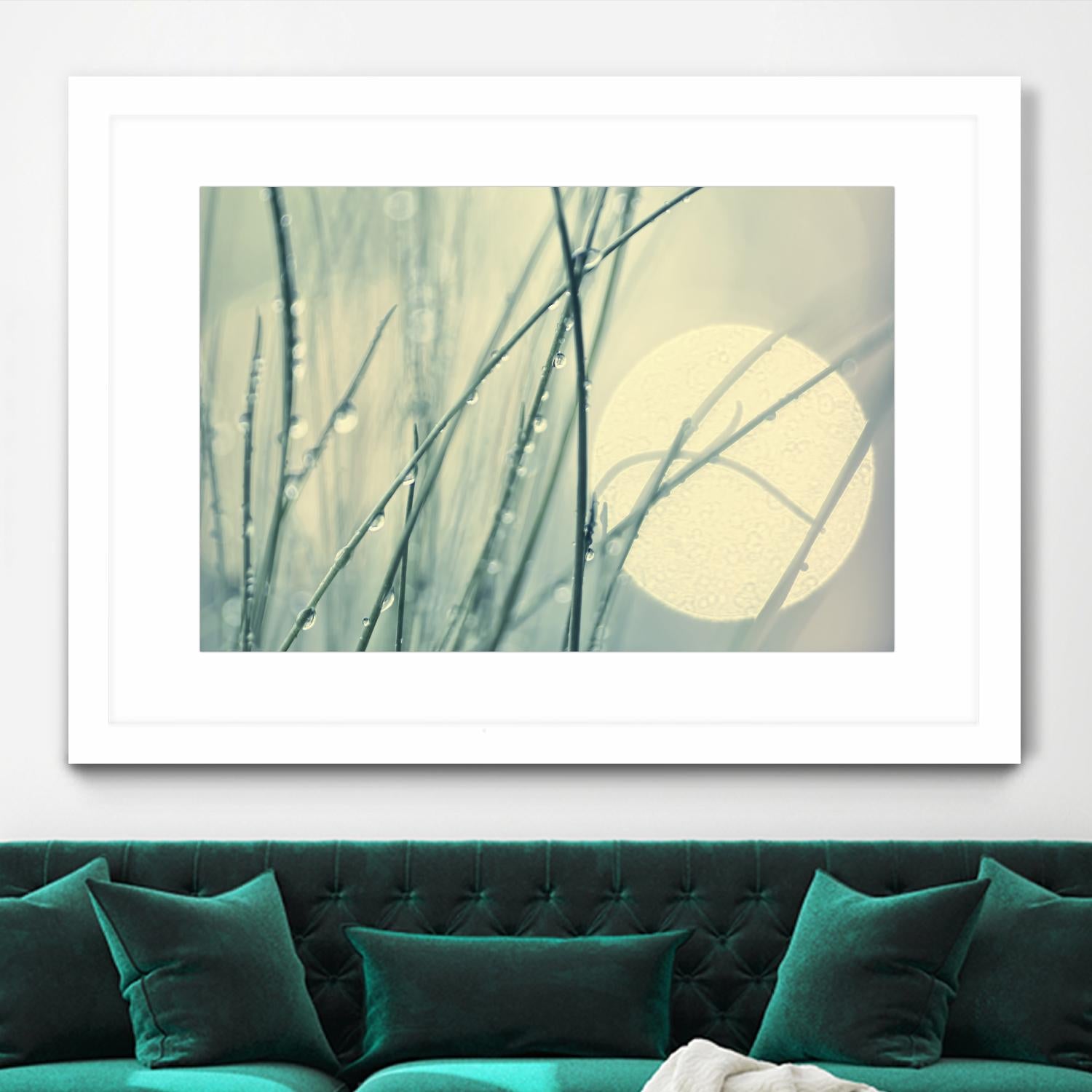 Morning Blues by Ingrid Beddoes on GIANT ART - beige photo art