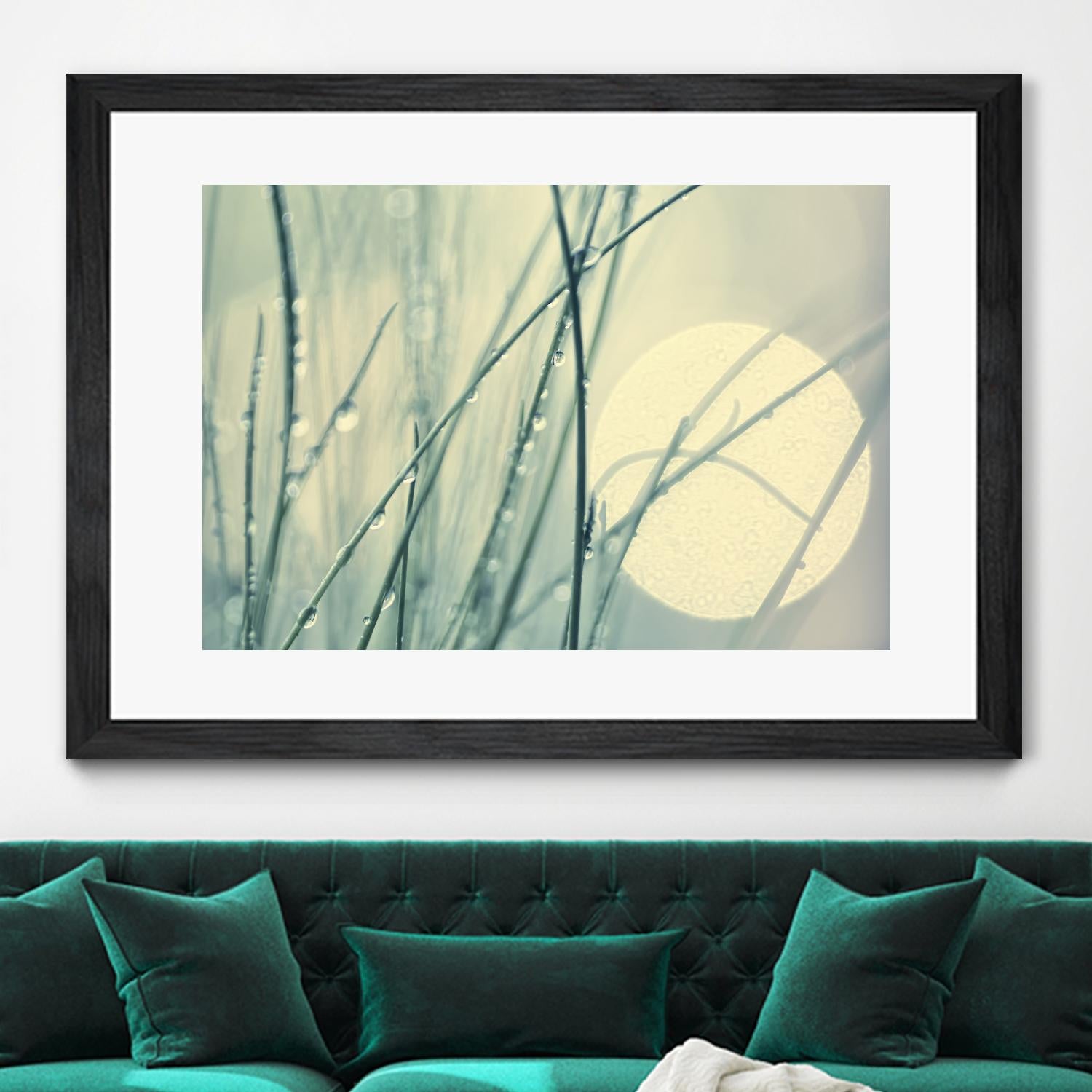 Morning Blues by Ingrid Beddoes on GIANT ART - beige photo art