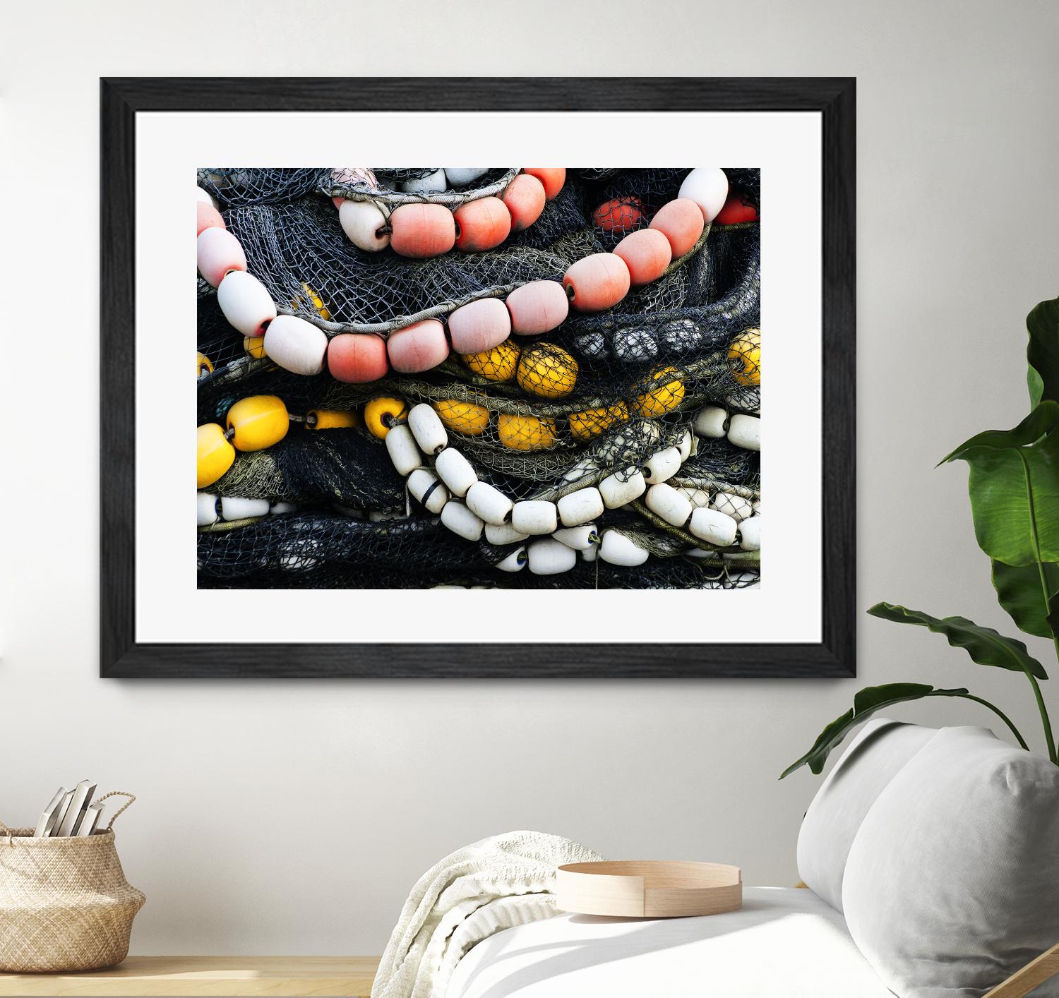 Coral Link II by Norm Stelfox on GIANT ART - white photo art