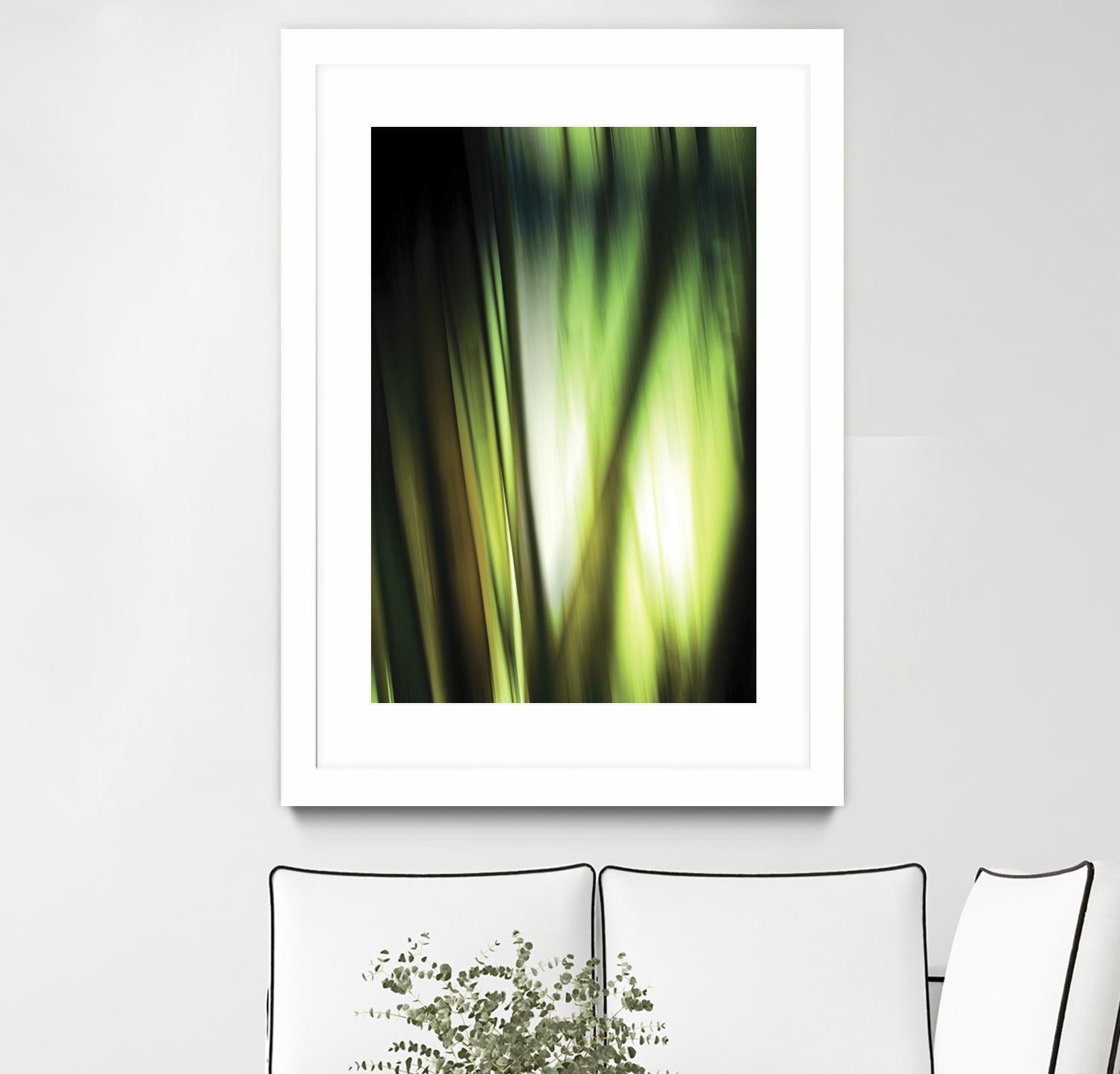 Organic I by PI Studio on GIANT ART - black photo art