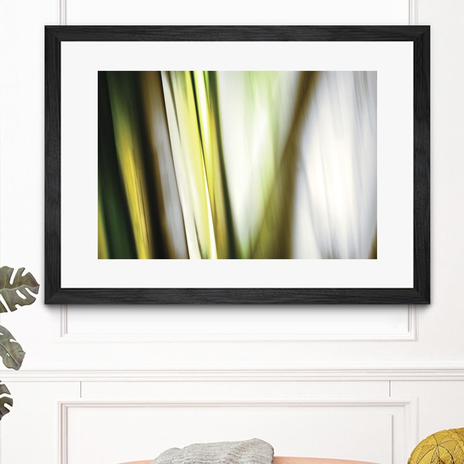 Organic II by PI Studio on GIANT ART - white photo art