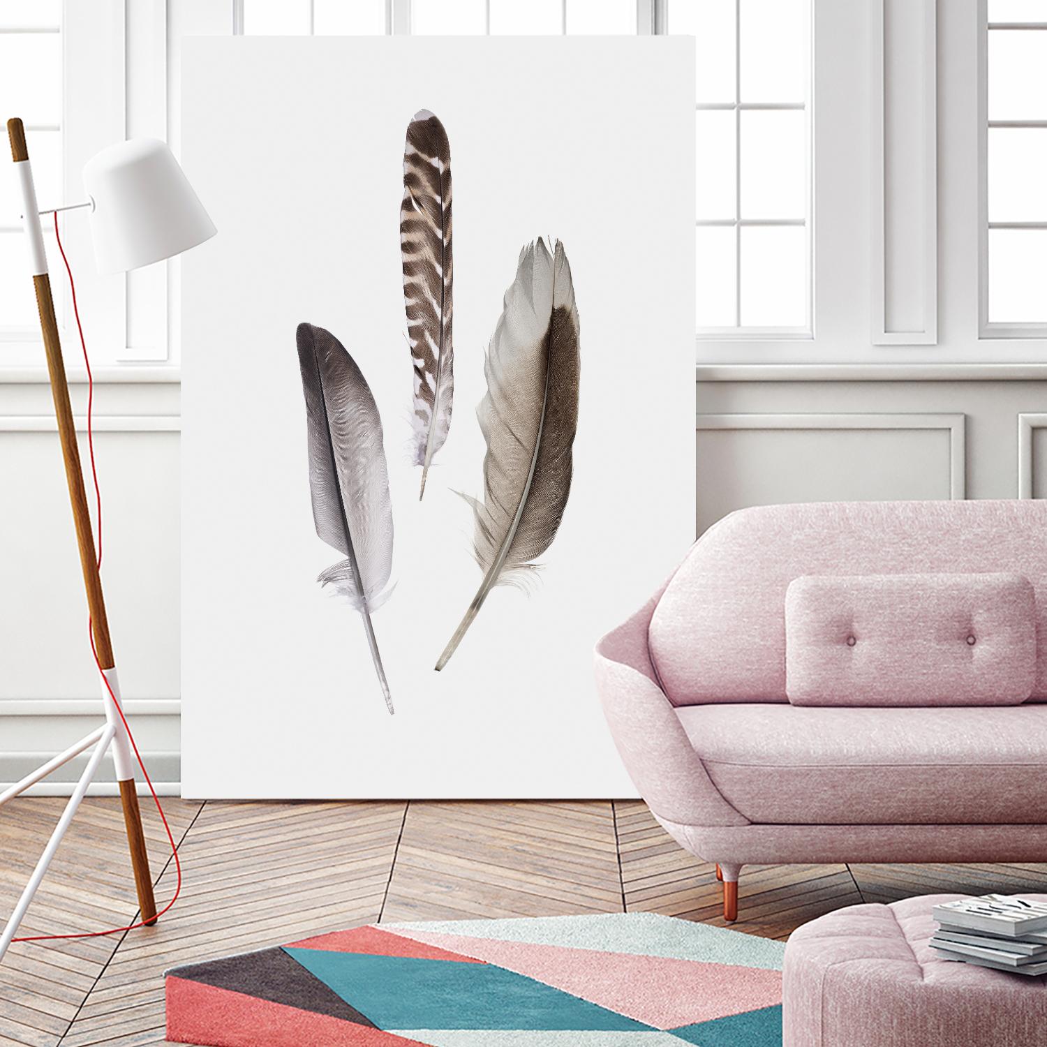 Feathers III by PI Studio on GIANT ART - brown animals