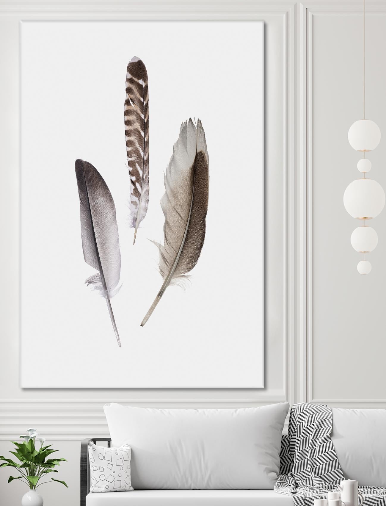 Feathers III by PI Studio on GIANT ART - brown animals